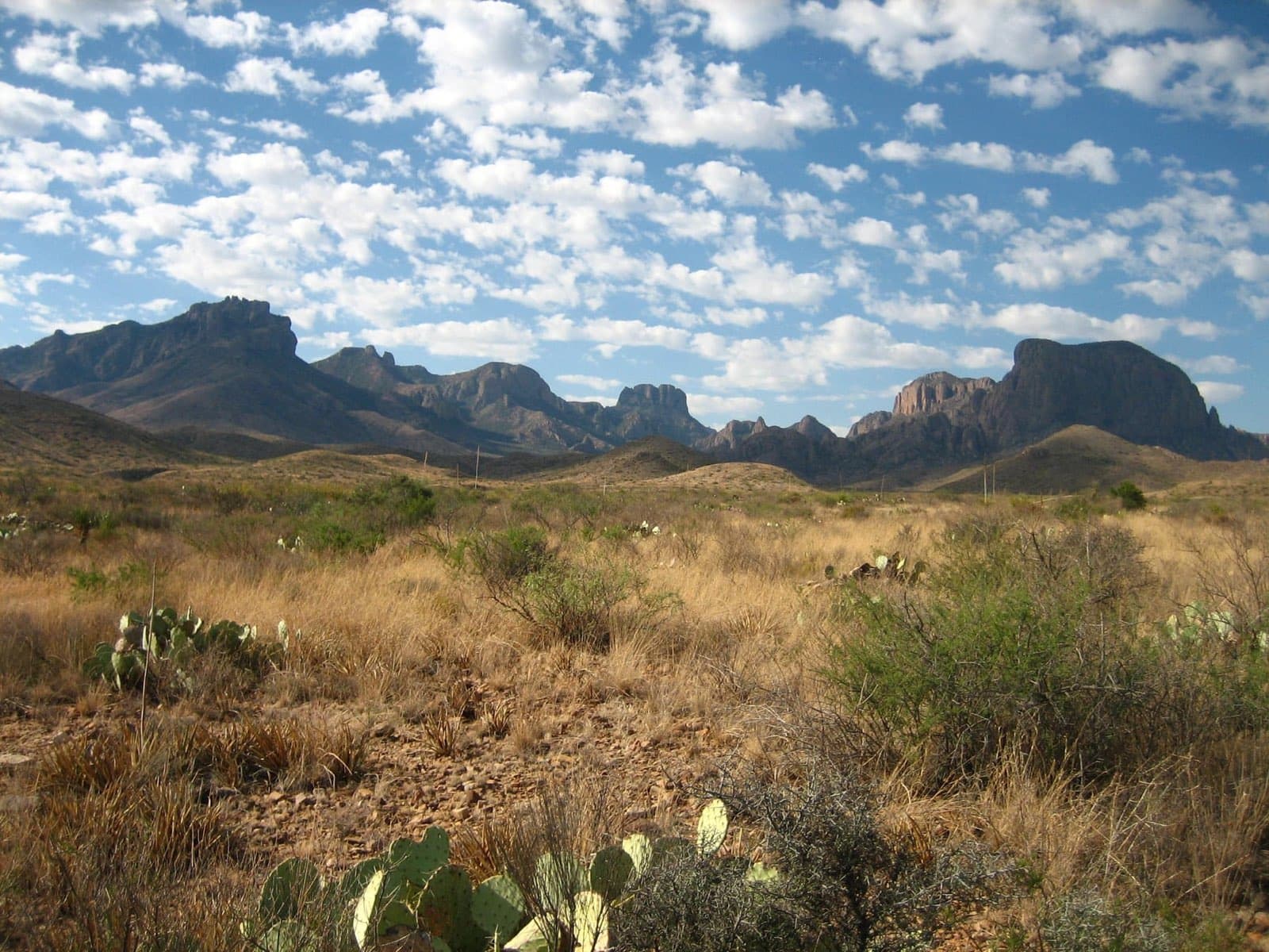 Wide Chihuahuan Desert scenery in Big Bend National Park