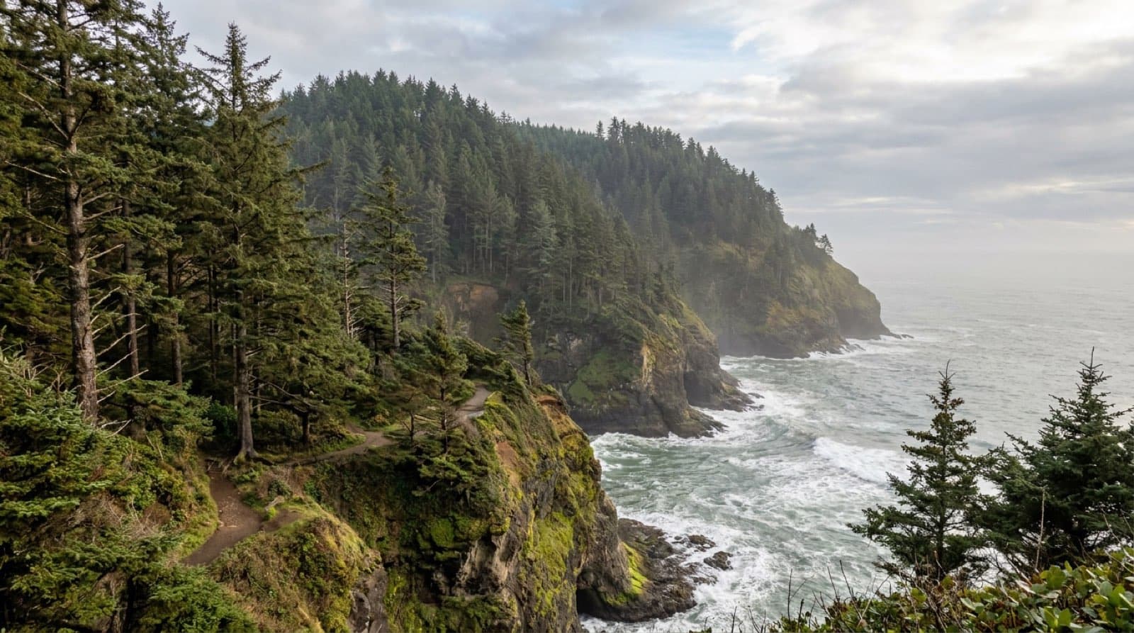The forested Cape Lookout headland jutting into the Pacific south of Tillamook