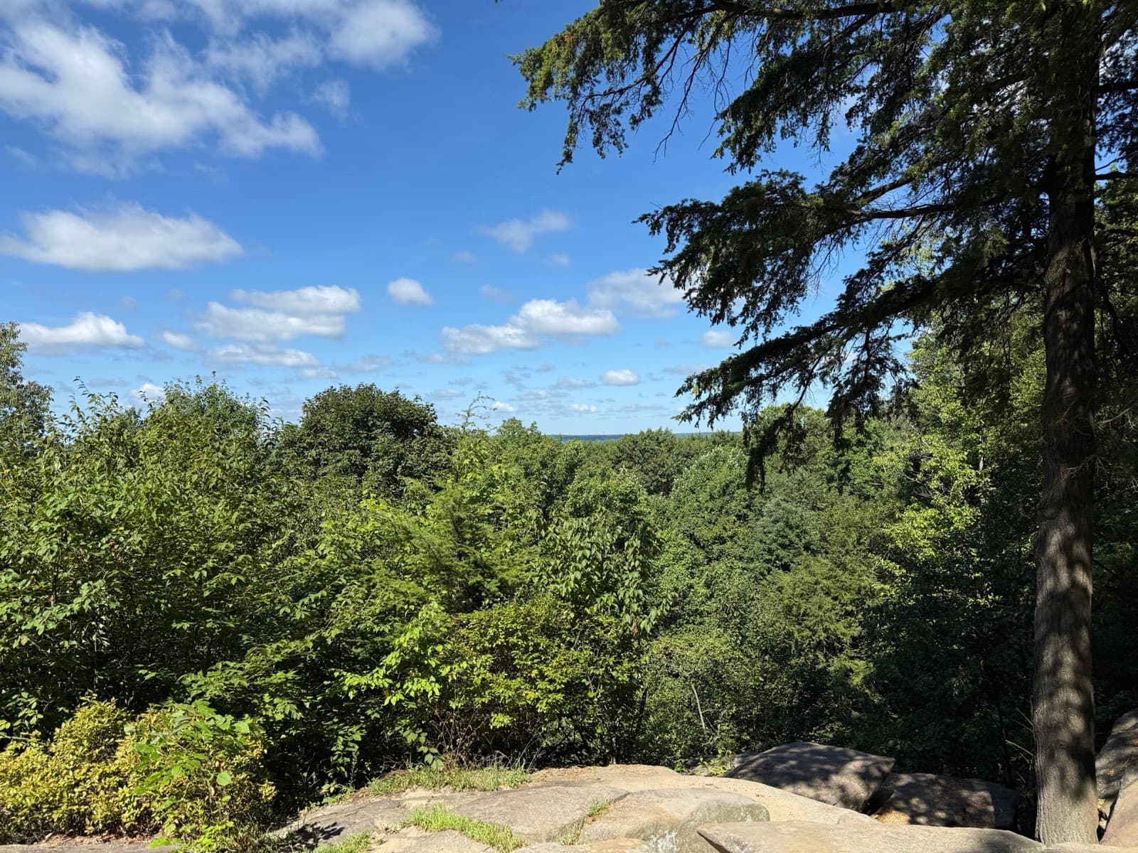 A wide forested vista seen from the Ledges Overlook in Cuyahoga Valley National Park, Ohio, looking west-northwest over a sea of green treetops stretching to the horizon.