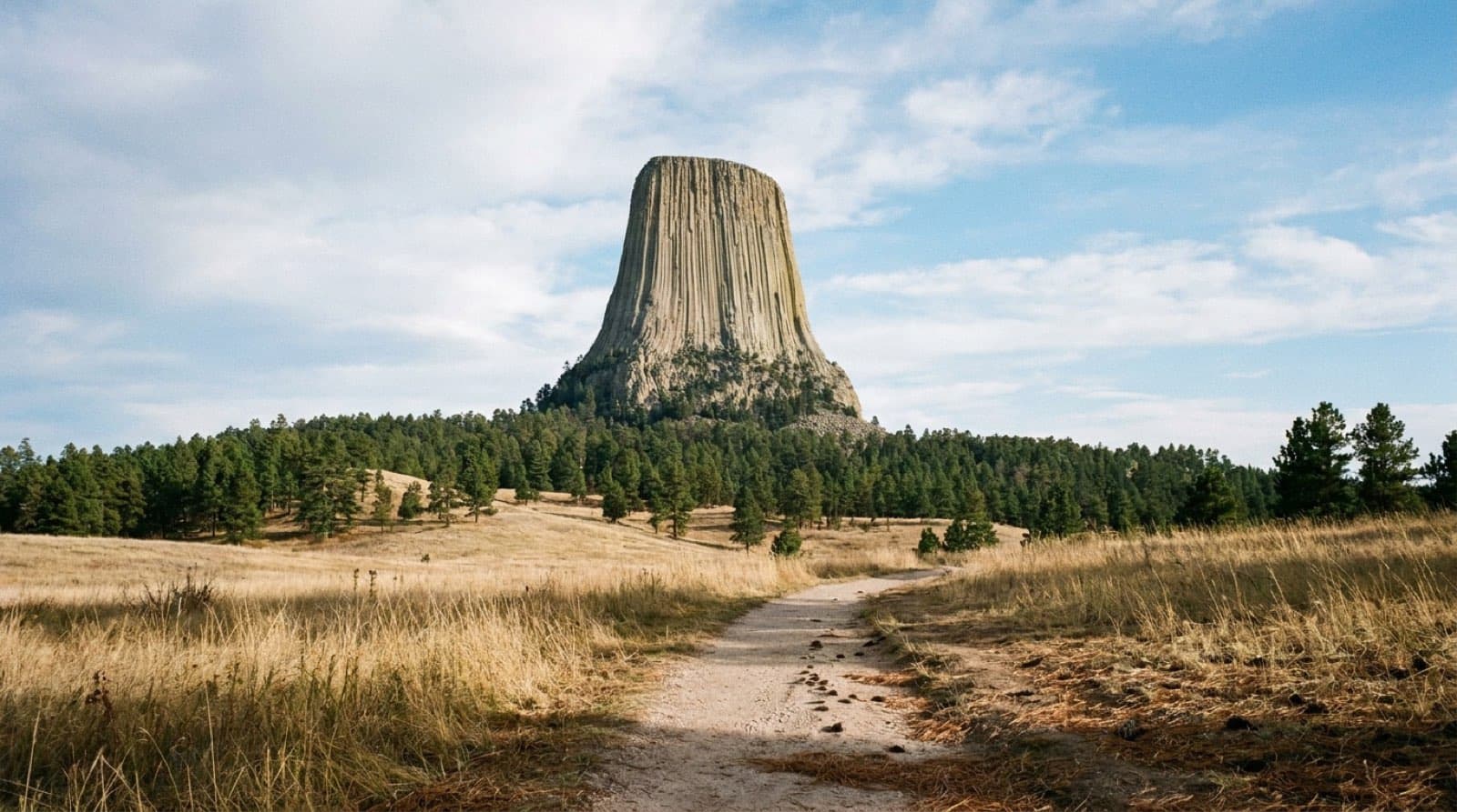 Devils Tower rising above pine forest and prairie under blue sky