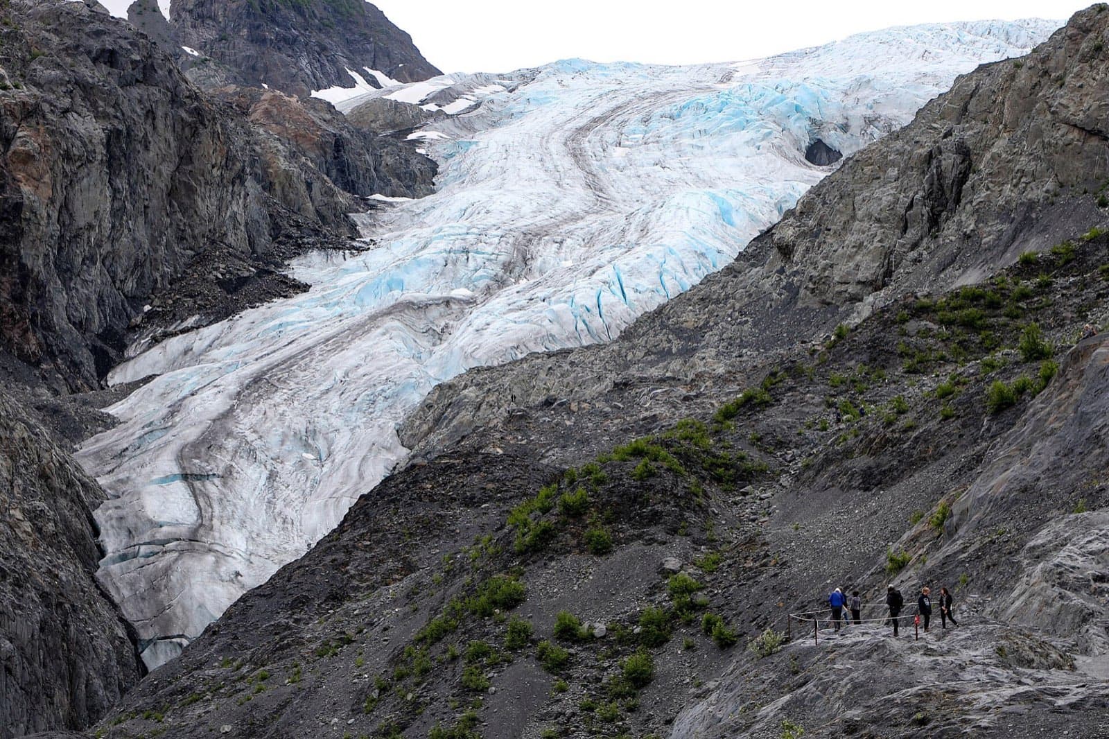 A green fjord and mountain shoreline in Kenai Fjords National Park