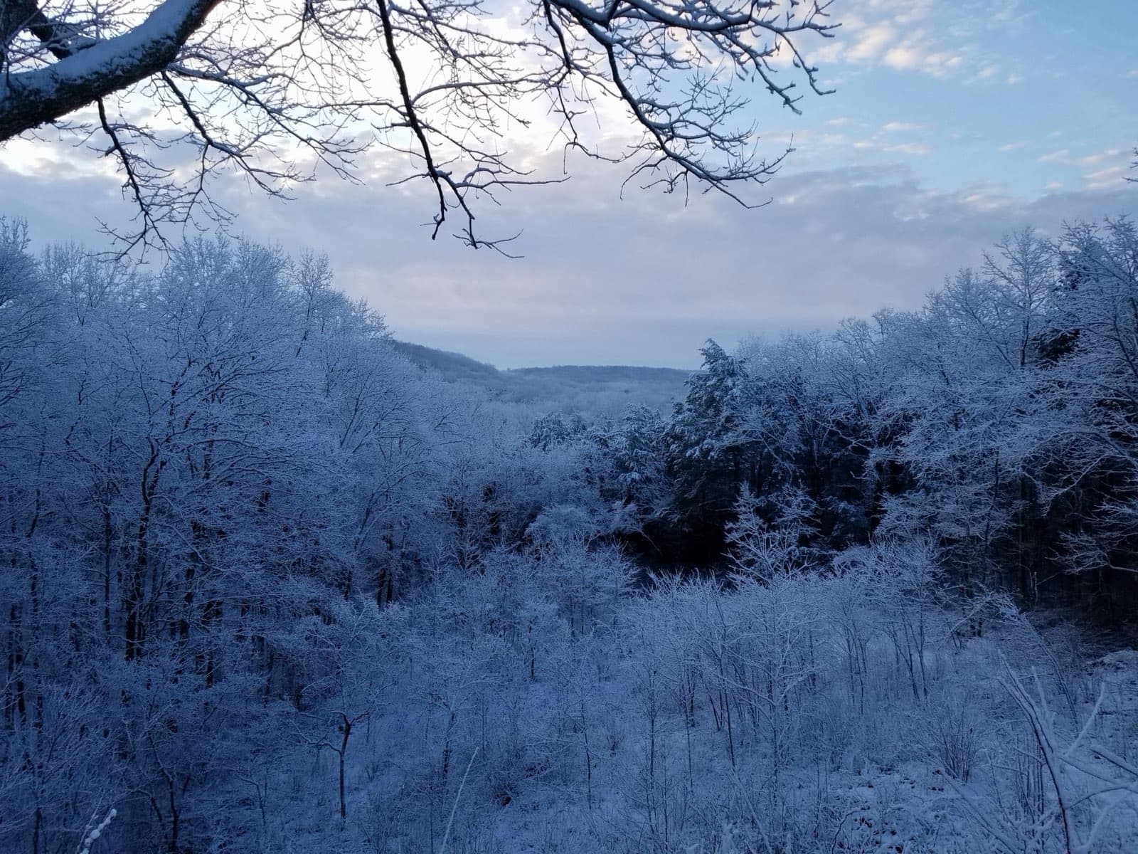 A snow- and frost-covered hardwood forest stretching across the rolling hills seen from the Doyel Valley Overlook in Mammoth Cave National Park, Kentucky, on a clear winter day.