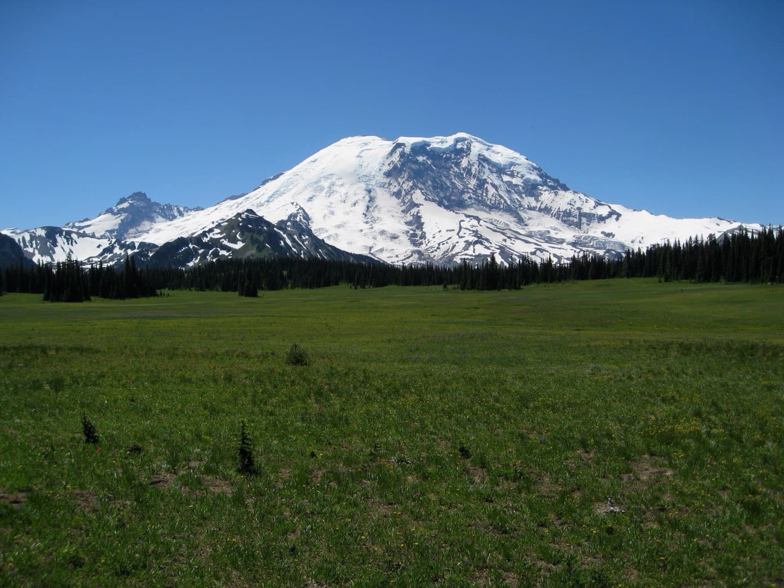 The snow-capped volcanic summit of Mount Rainier rising above forested ridgelines, seen from the open alpine meadows of Grand Park in Mount Rainier National Park, Washington, under a clear summer sky.
