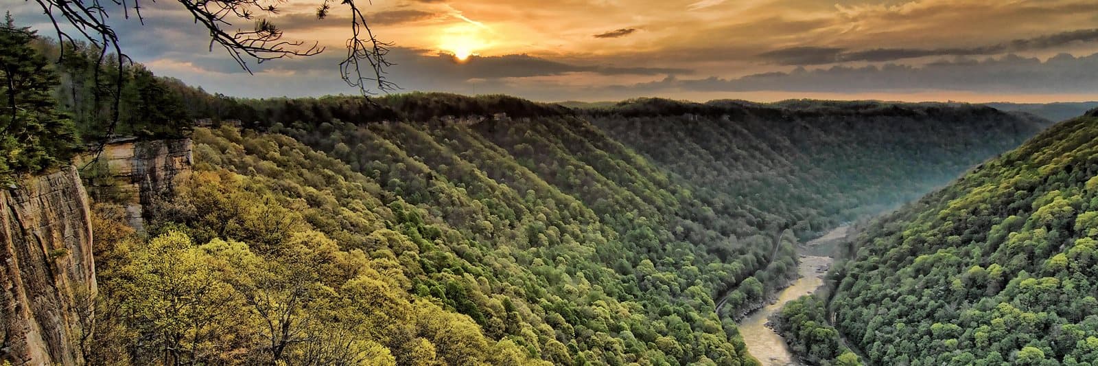 A wide view across the forested New River Gorge