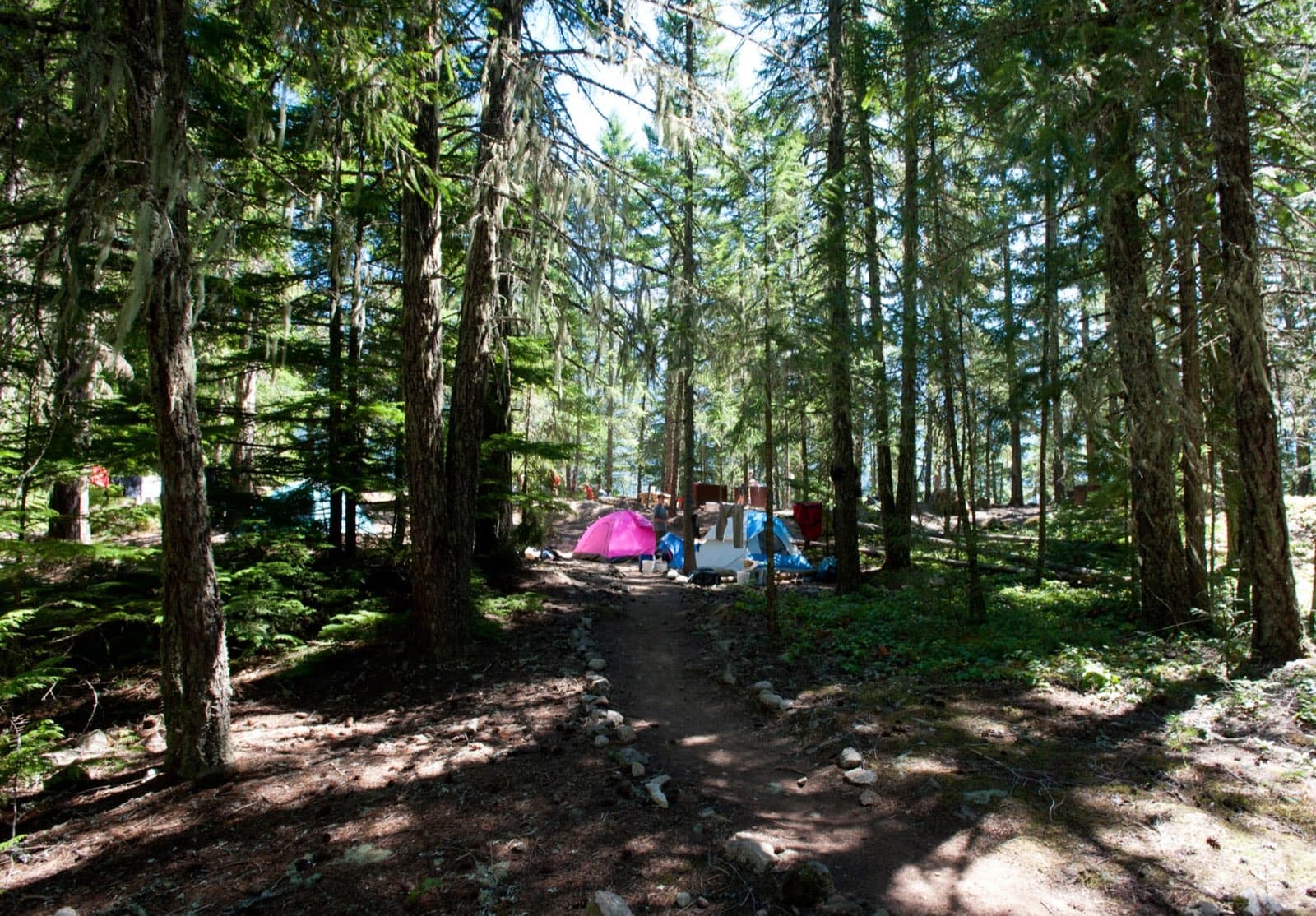 Tents set in forest near Ross Lake