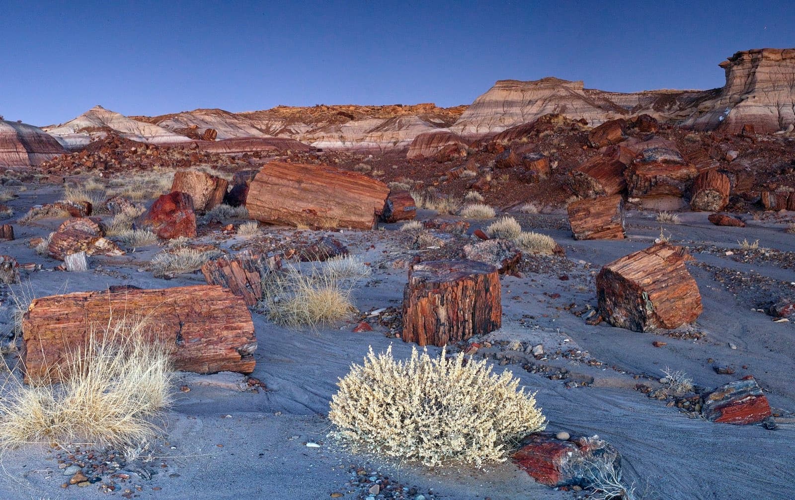 Wide evening view across Jasper Forest badlands