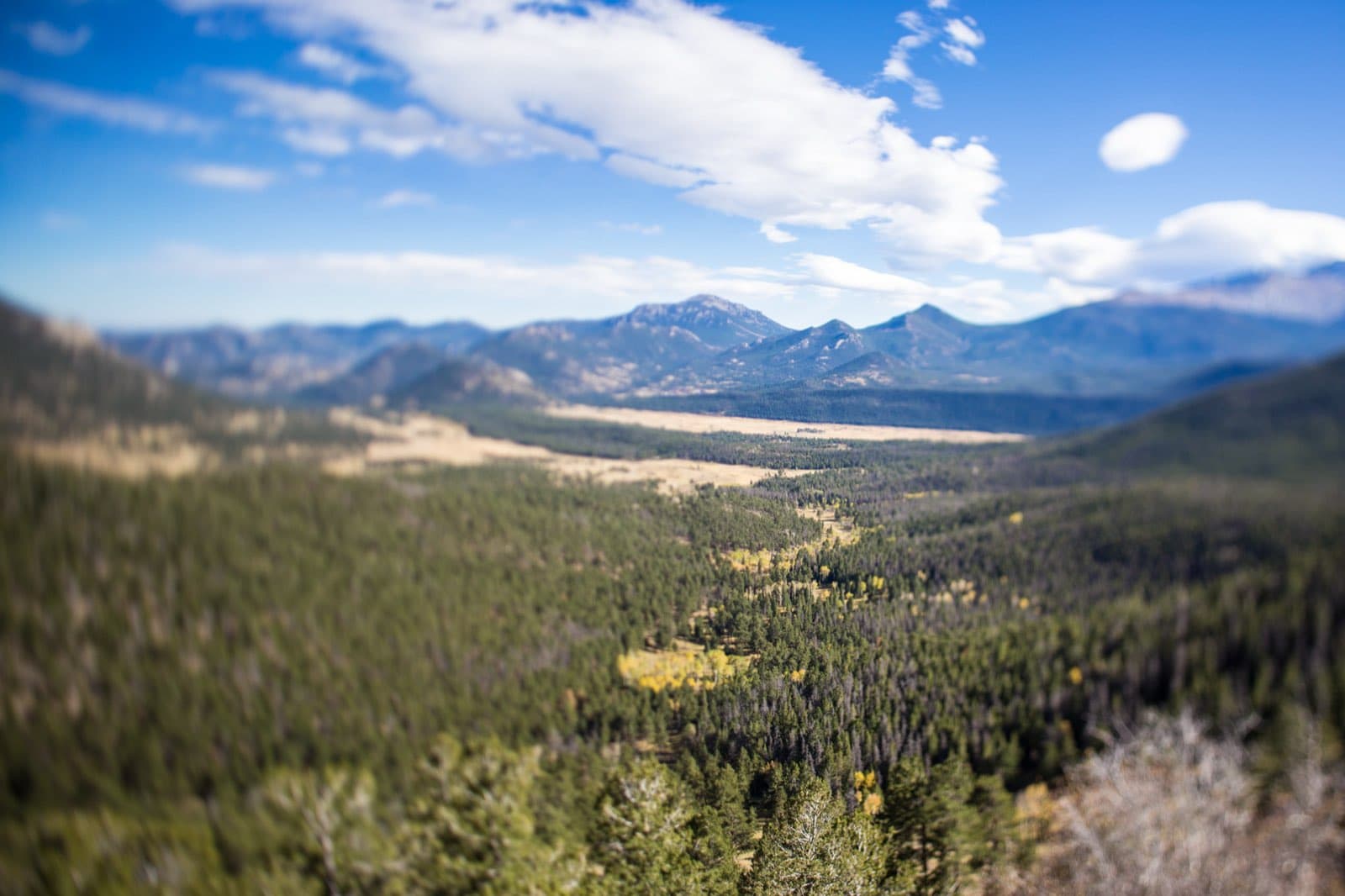 Autumn tundra and distant Longs Peak along Trail Ridge Road