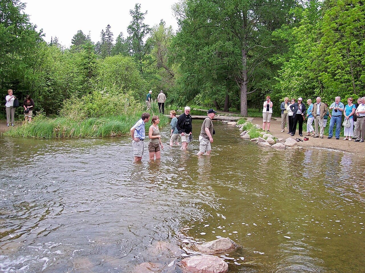 Visitors crossing the Mississippi River headwaters at Itasca State Park
