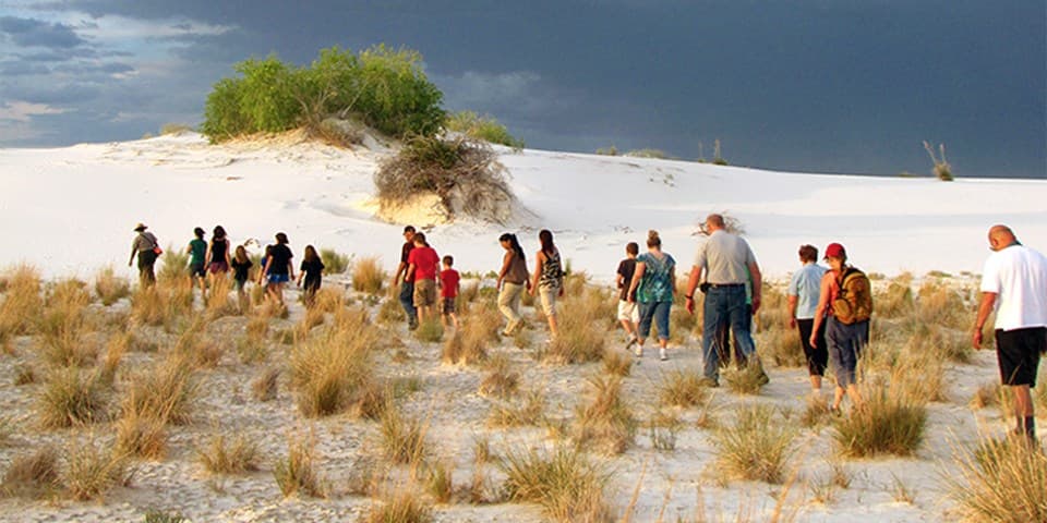 Warm sunset light on rippled white dunes