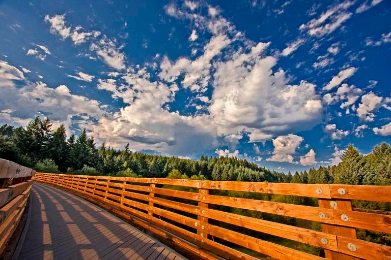 A timber trestle on the Banks-Vernonia State Trail beneath a wide blue sky