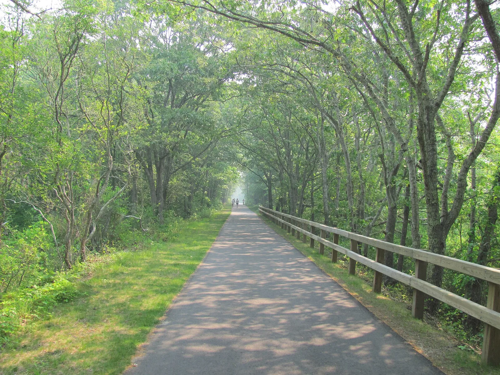 The paved Cape Cod Rail Trail passing through a green woodland corridor