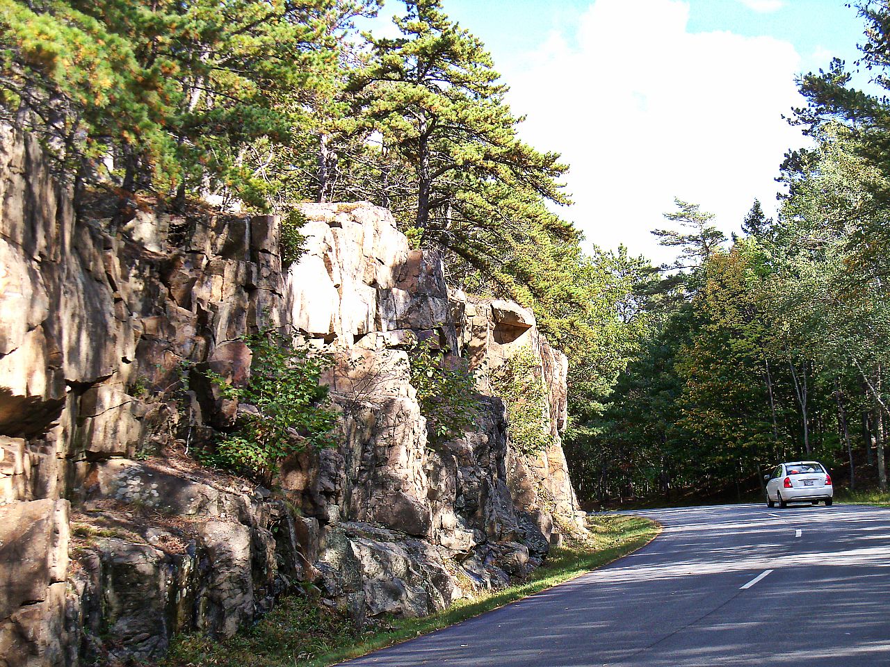 A wooded stretch of Acadia's Park Loop Road