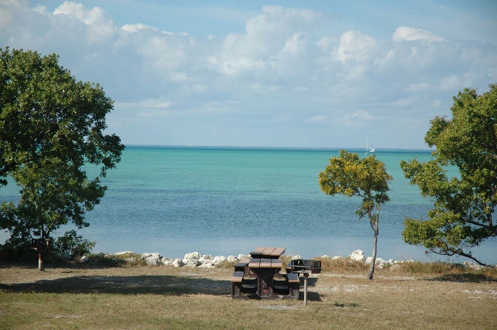 The campground on Elliott Key under tropical trees