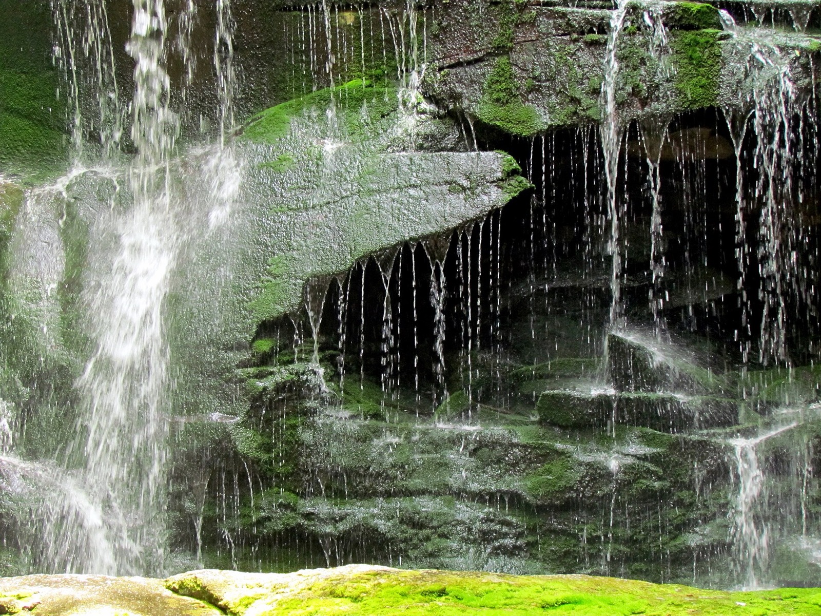 Elakala Falls up close, thin strands of water dropping over moss-covered rock along the Elakala Trail