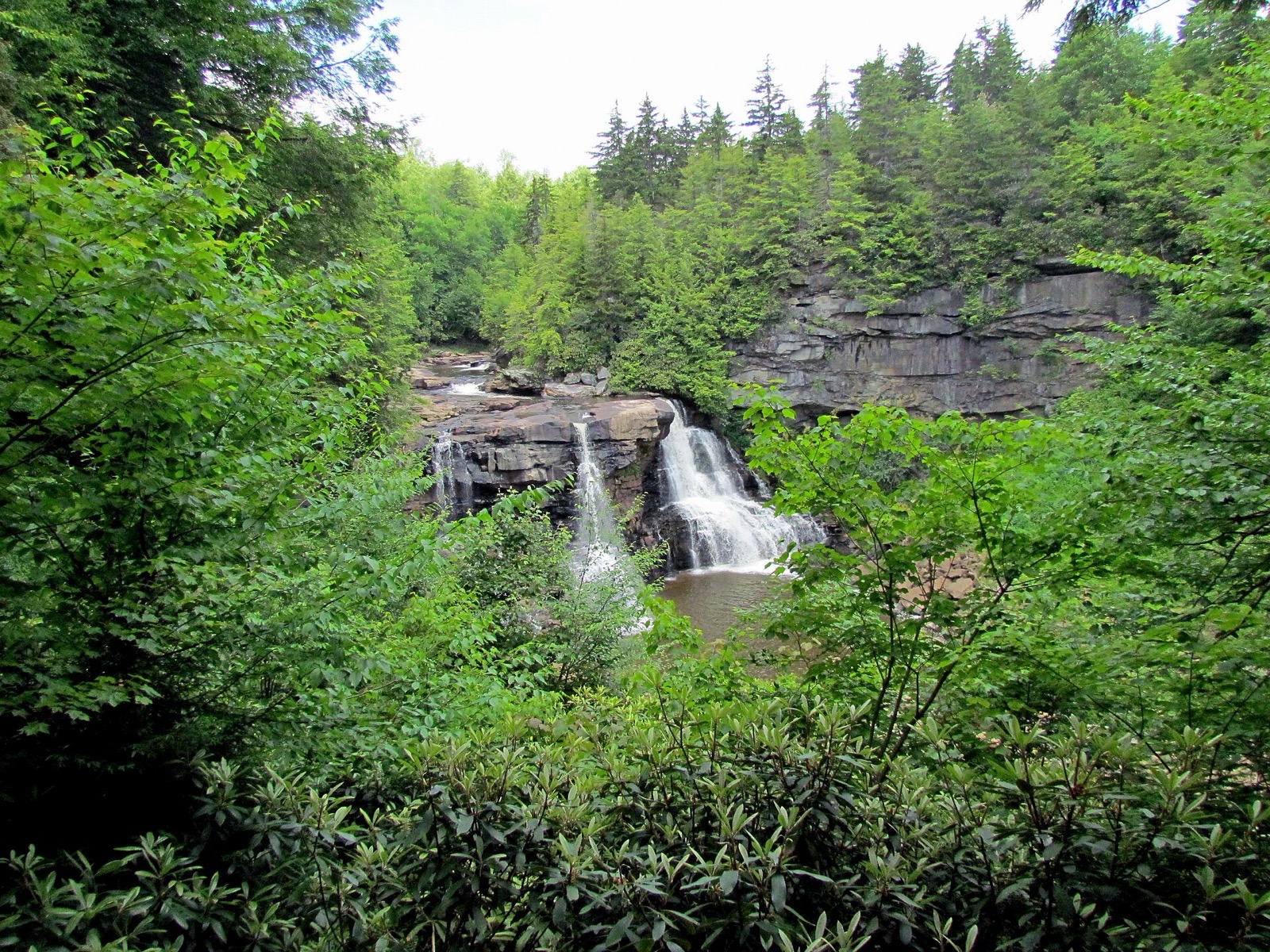 Blackwater Falls glimpsed through rhododendron and summer foliage from the Gentle Trail side