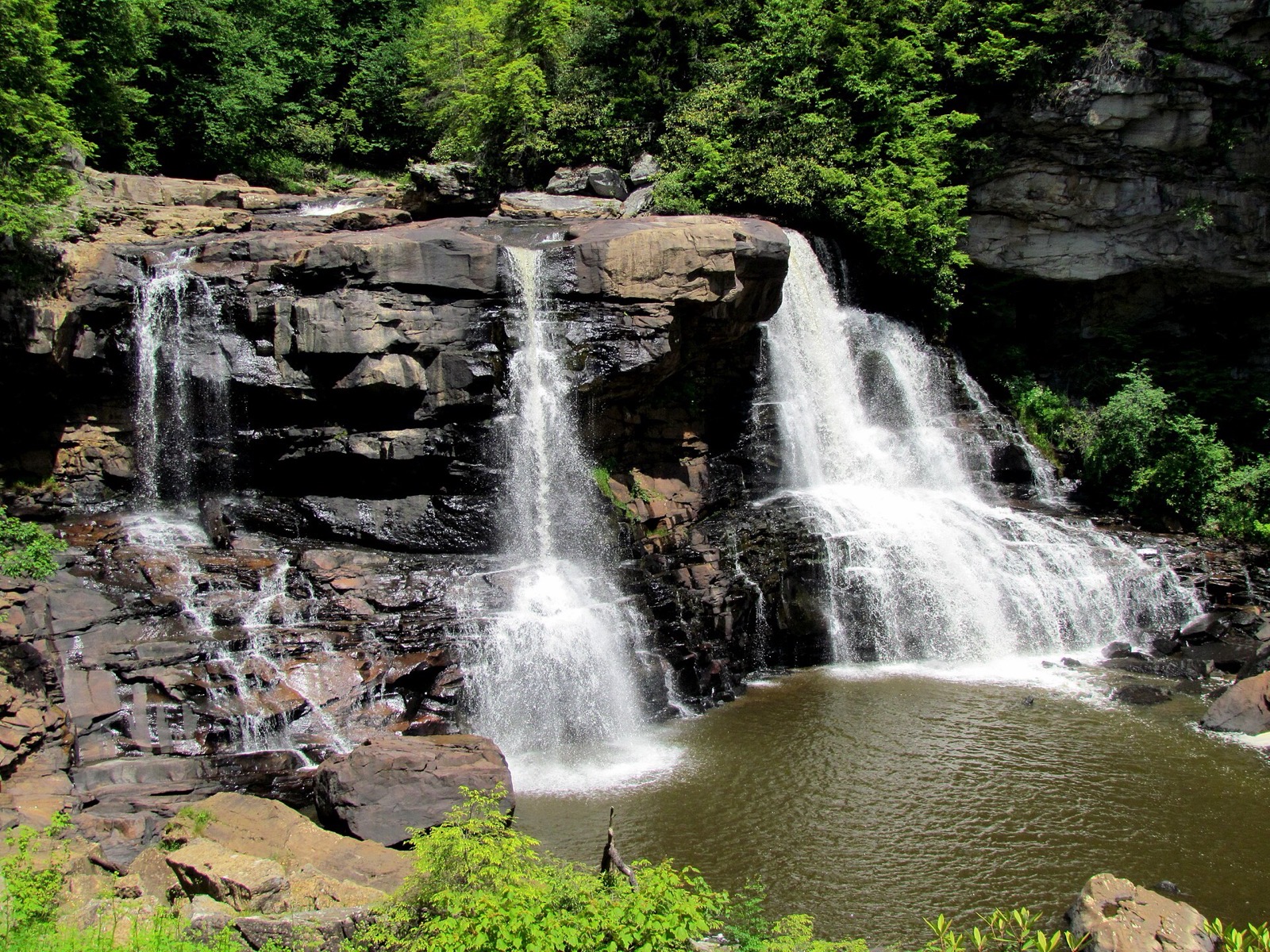 Blackwater Falls pouring over dark sandstone ledges into its amber pool, hemlock and hardwoods above