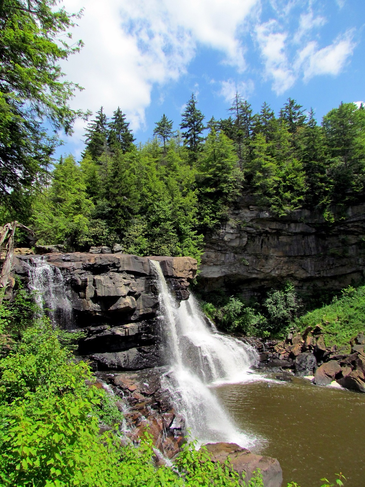 Blackwater Falls from the boardwalk viewpoint under a blue summer sky, spruce lining the rim