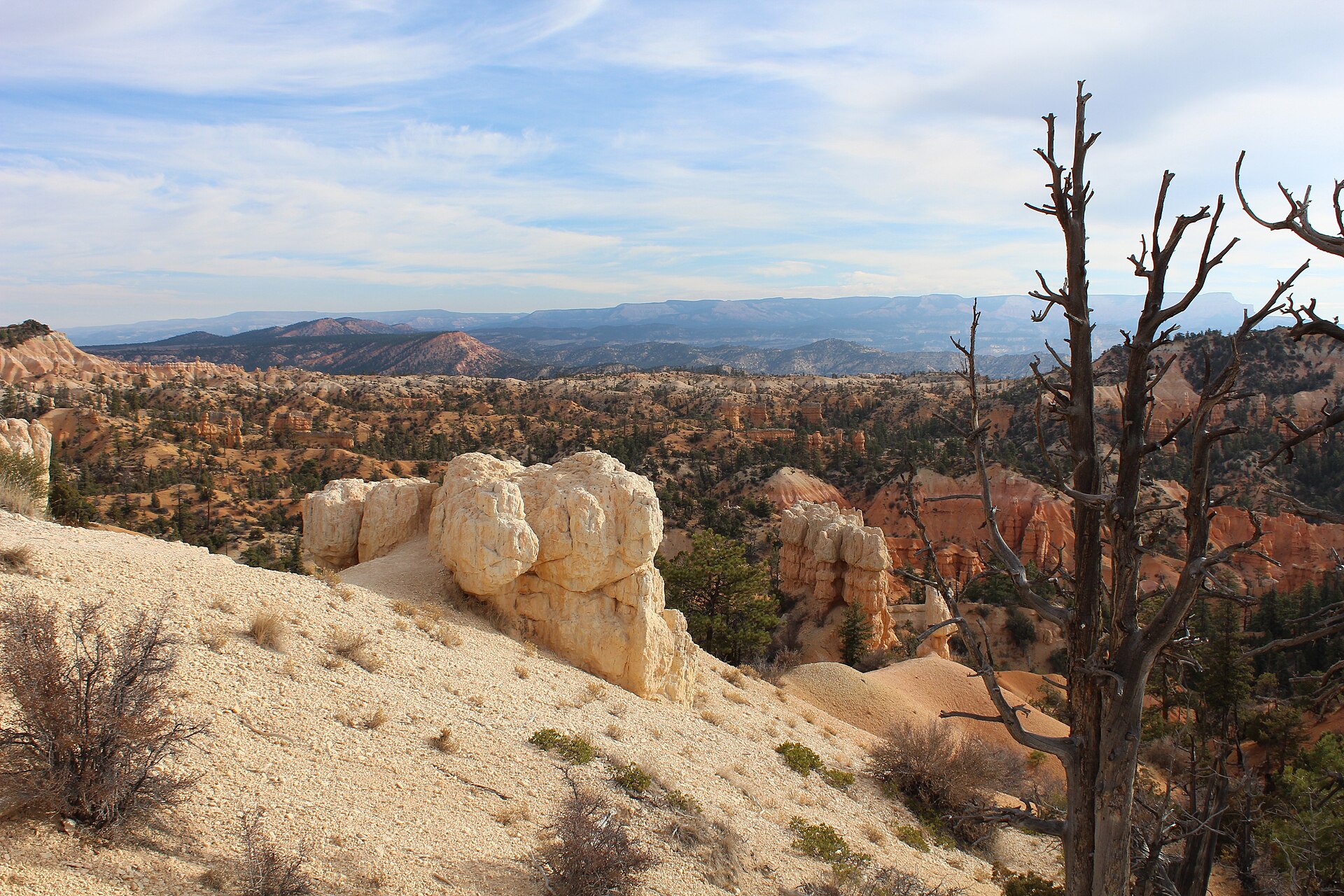 Hoodoos and open trail on the quieter Fairyland Loop
