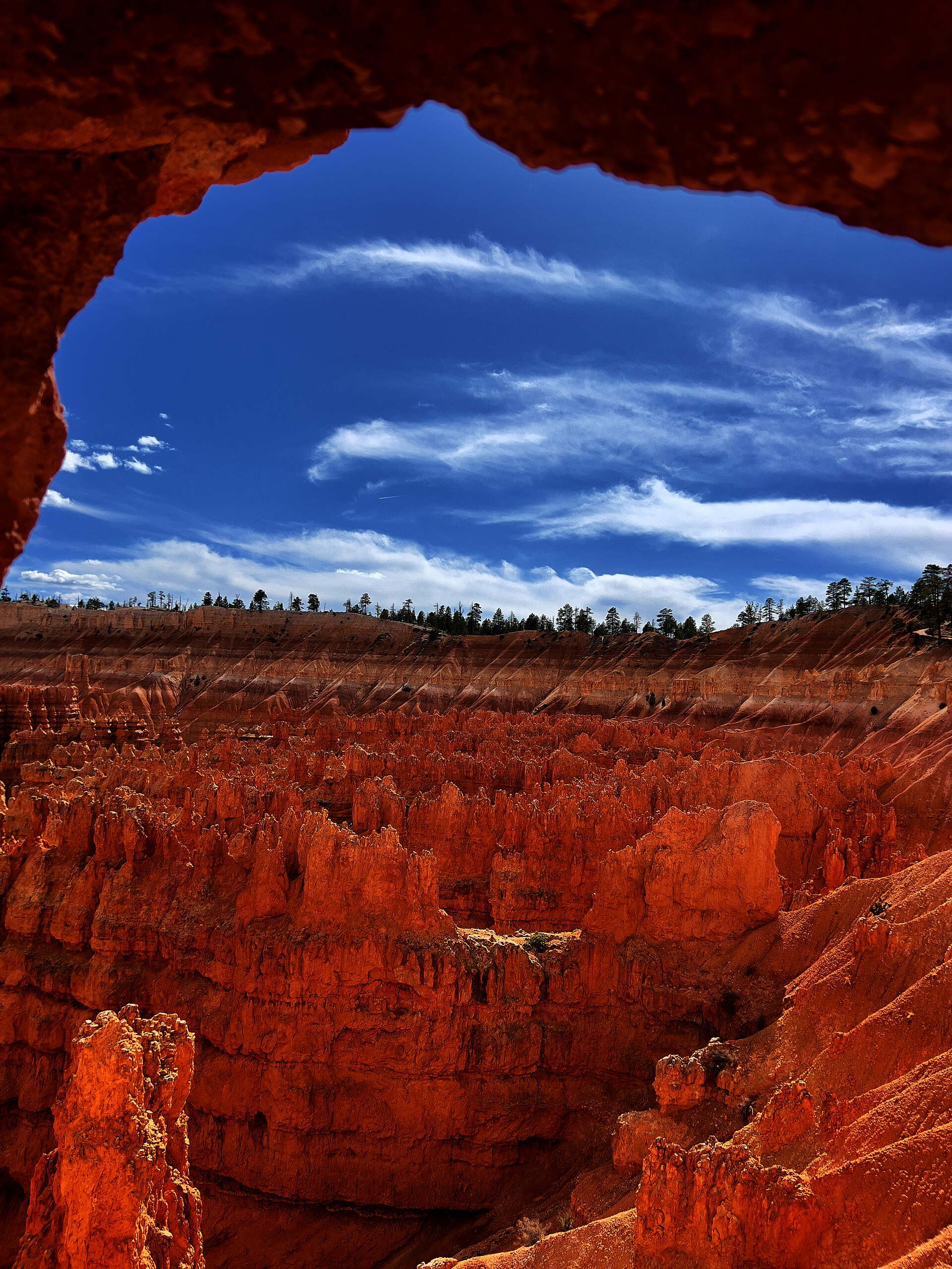 Switchbacks dropping into the hoodoos on the Navajo Loop and Queens Garden route