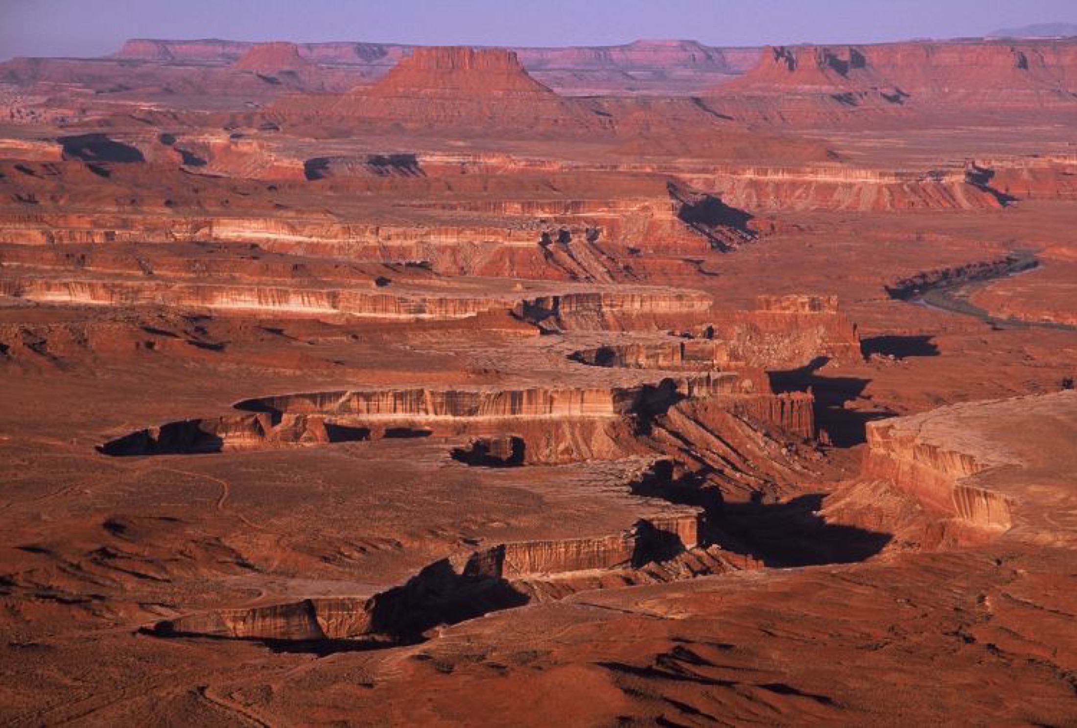 Wide landscape view from the Green River Overlook in the Island in the Sky district of Canyonlands National Park, looking out over layered red rock canyons and mesas carved by the Green River under a clear sky.