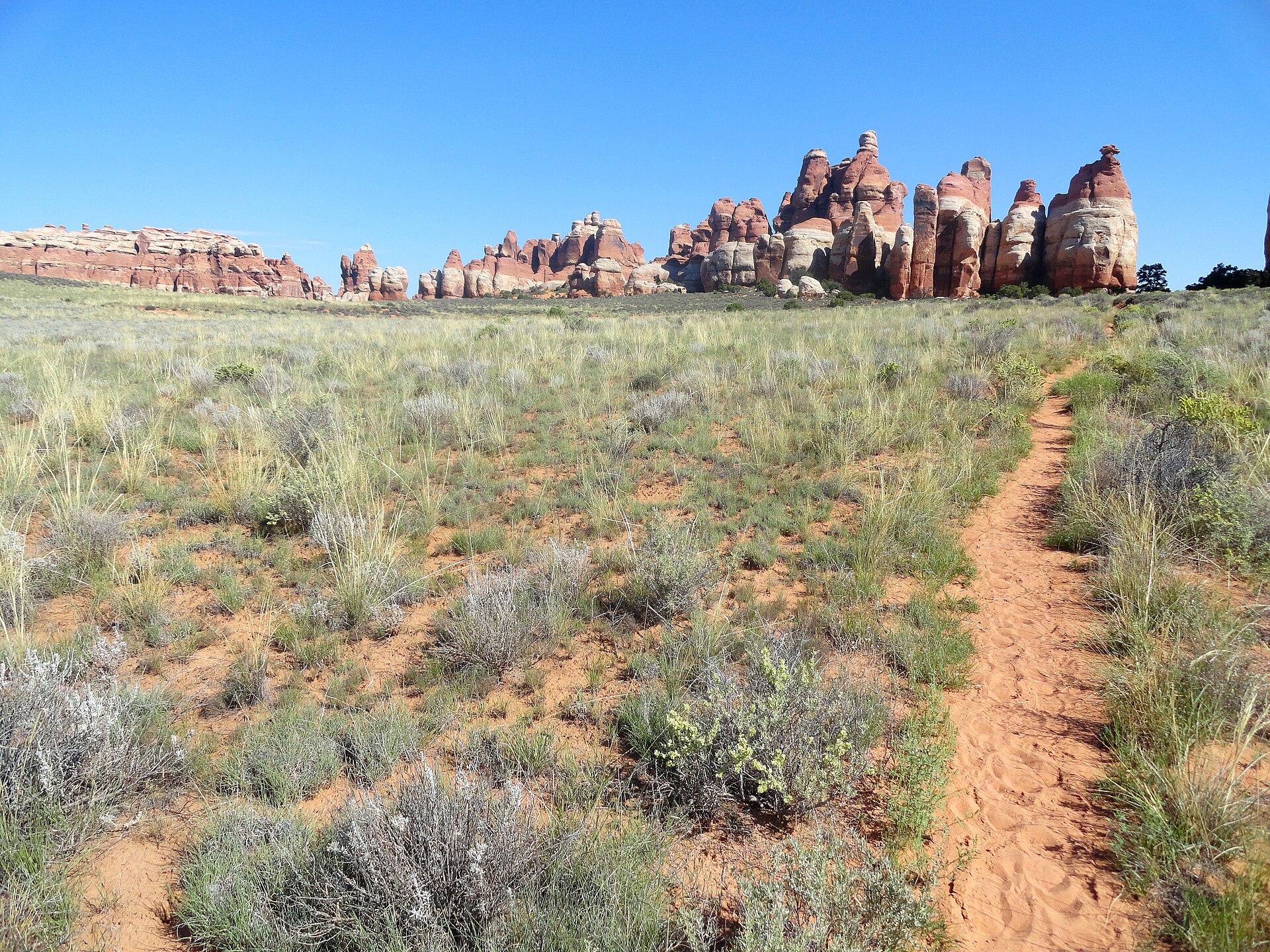 Sandstone spires in Chesler Park in the Needles District