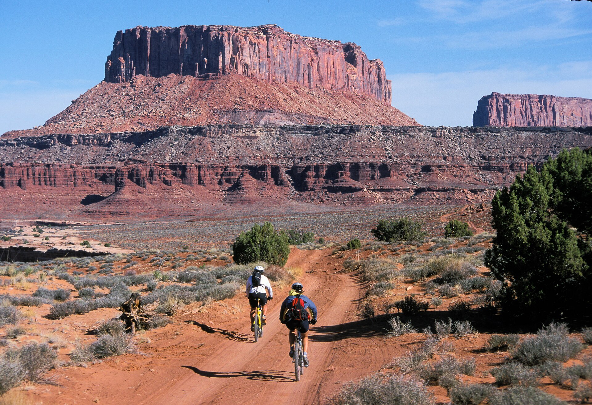 The White Rim Road threading across pale sandstone ledges