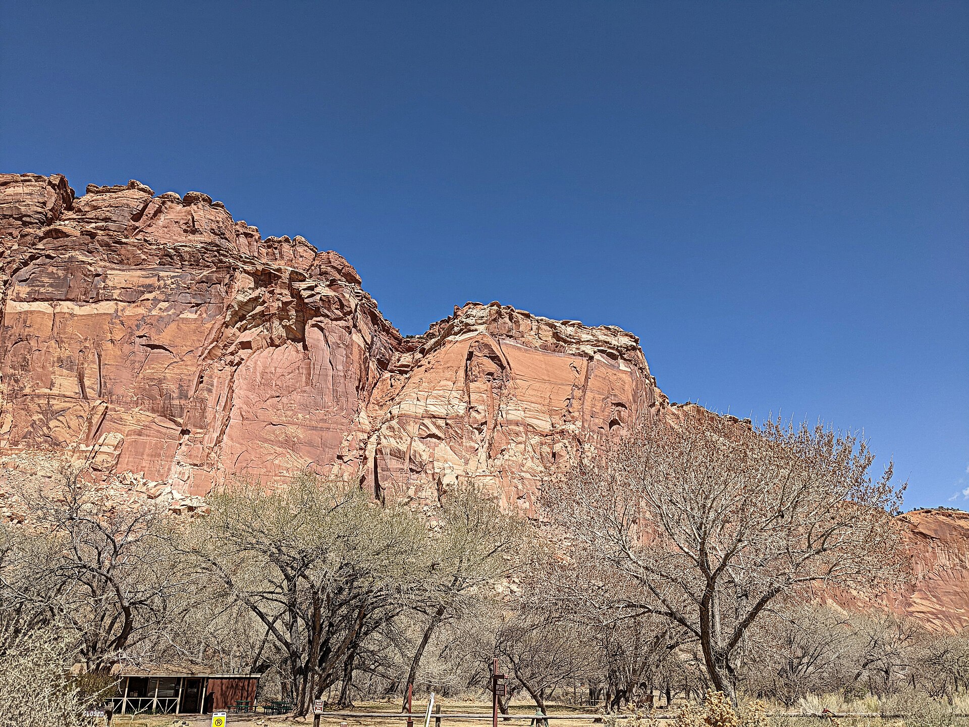 Capitol Reef Scenic Drive curving past red cliffs