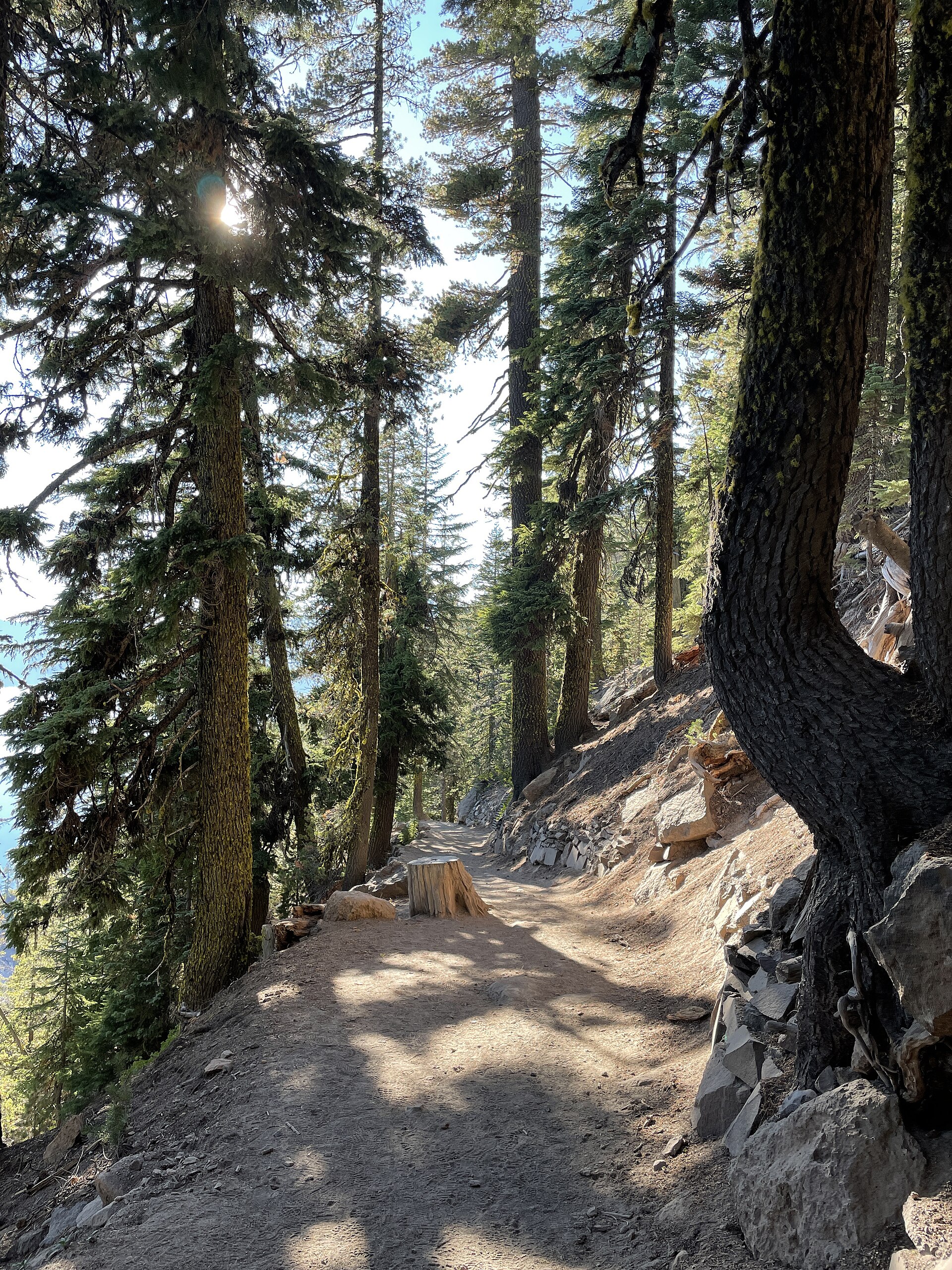 The Cleetwood Cove Trail descending through forest toward Crater Lake