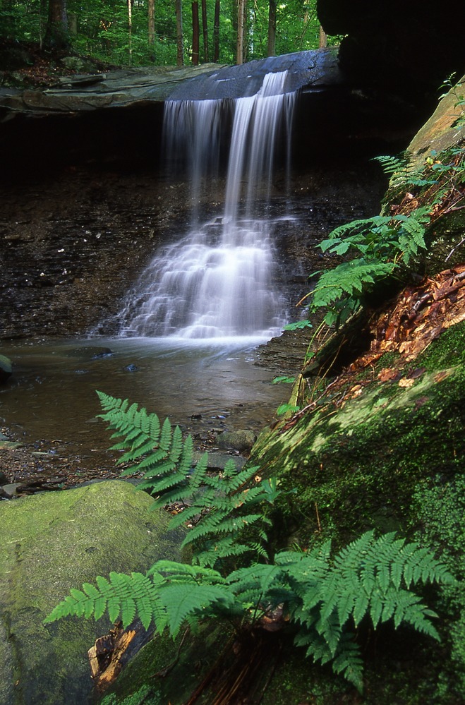 Blue Hen Falls spilling over a small forest ledge