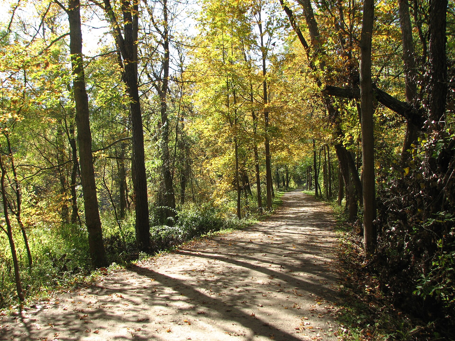 The Ohio and Erie Canal Towpath Trail running through fall forest