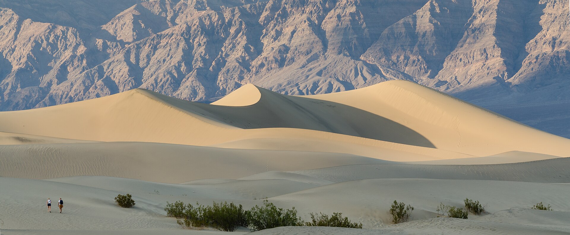Curving ridges across the Mesquite Flat Sand Dunes