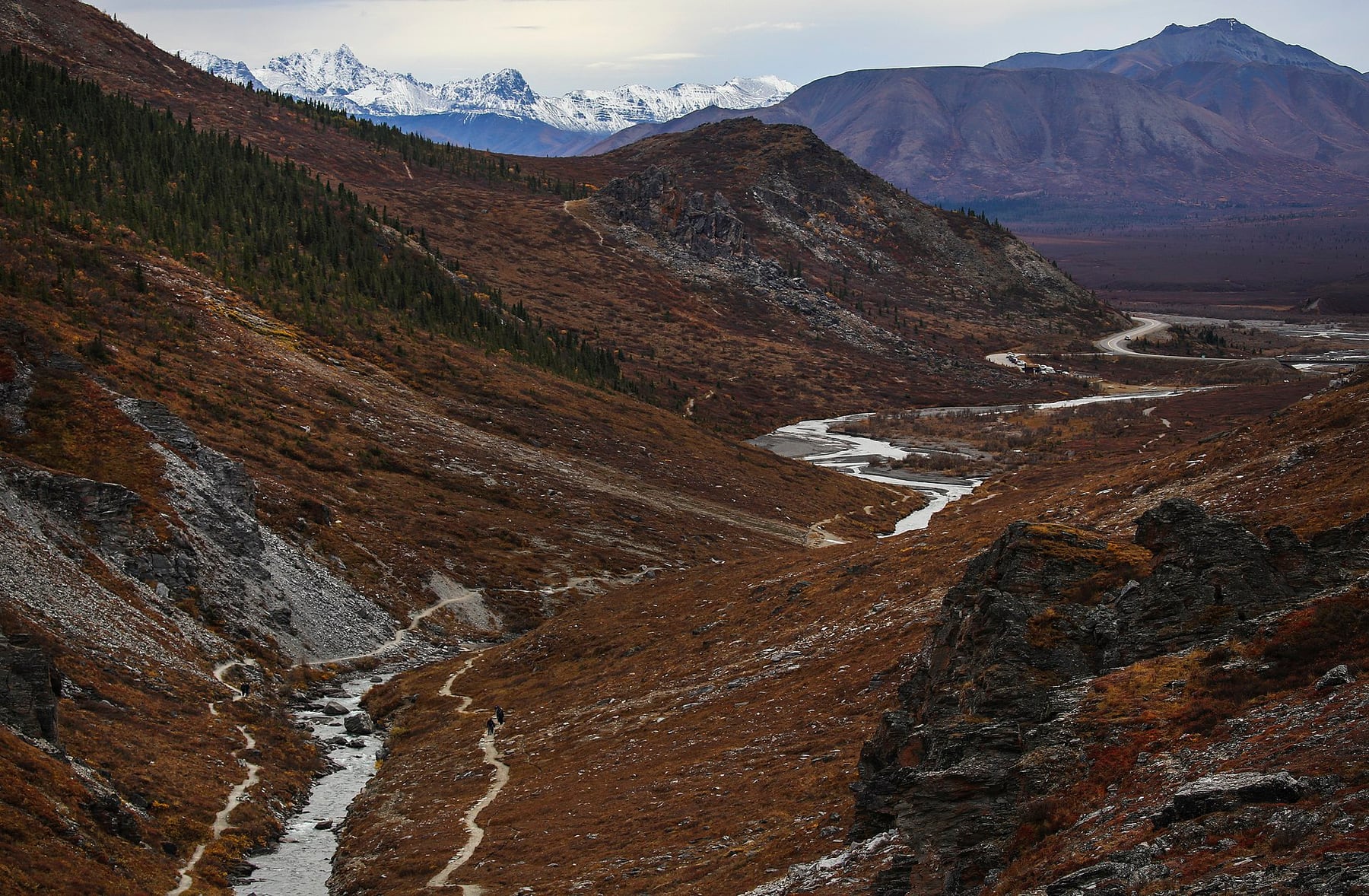 Autumn color along the Savage River in Denali
