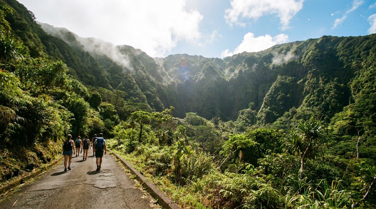Hikers climbing the switchback trail inside the green Diamond Head crater