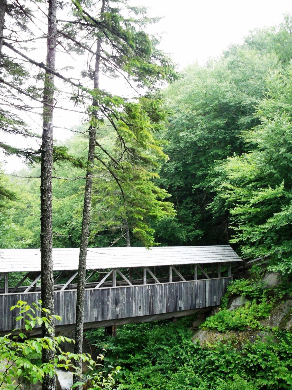 The Sentinel Pine covered bridge spanning the Pemigewasset above the Pool on the Flume Gorge loop
