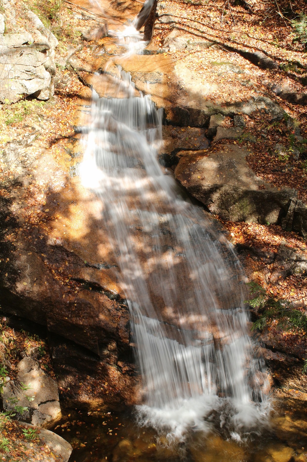A cascade sliding down granite along the Flume Gorge trail in October, fallen leaves on the rock