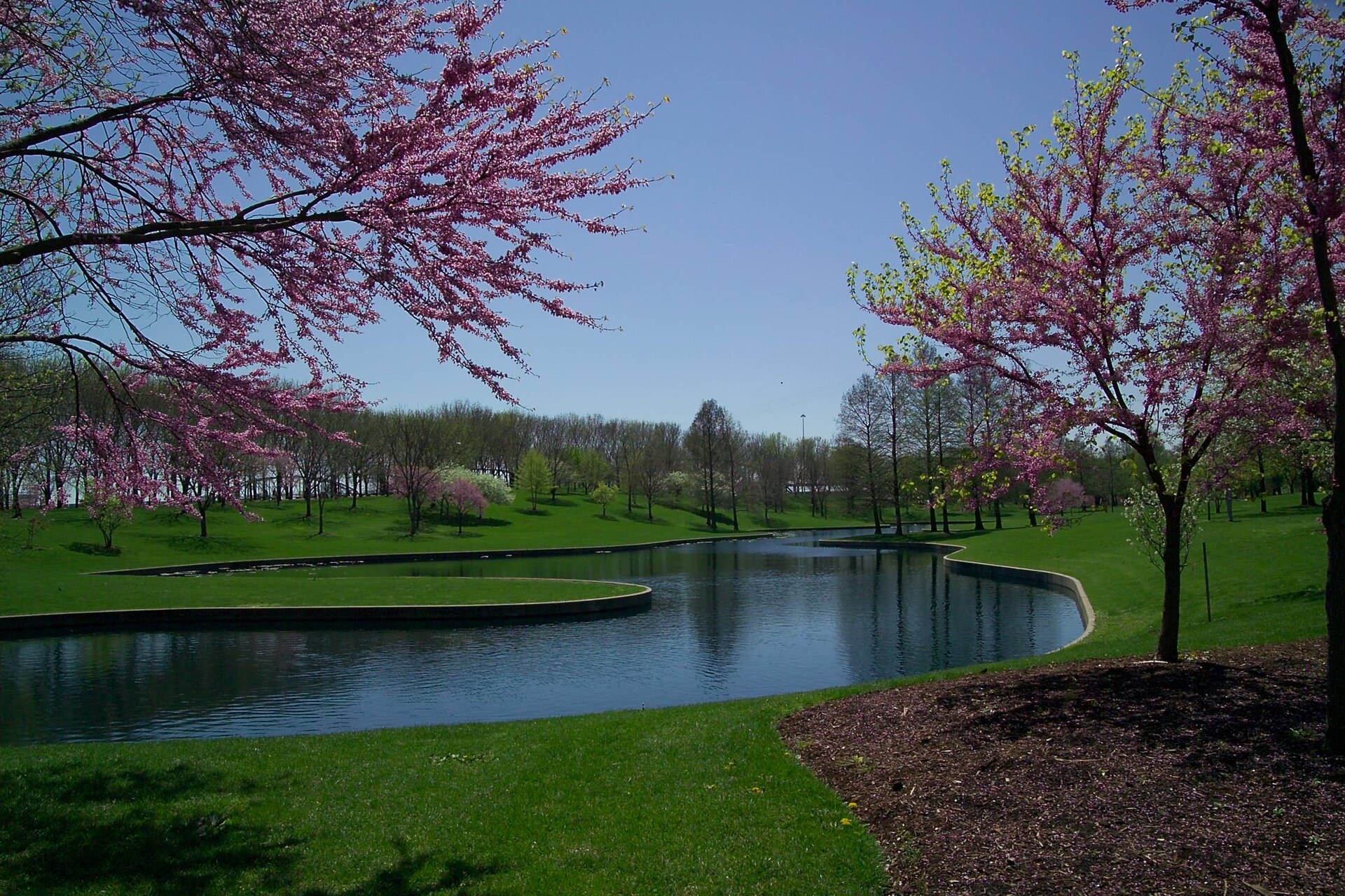 Gateway Arch grounds in spring with the stainless steel arch overhead