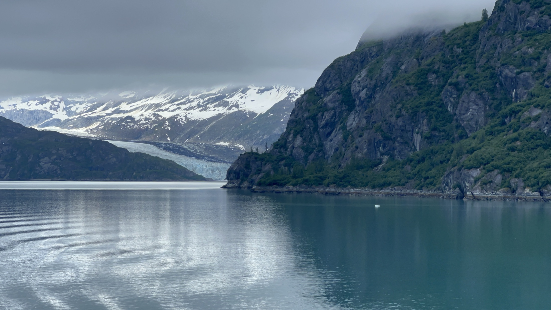 The blue-white face of Lamplugh Glacier flowing down between forested mountain slopes into the calm waters of Tarr Inlet in Glacier Bay National Park and Preserve, Alaska.