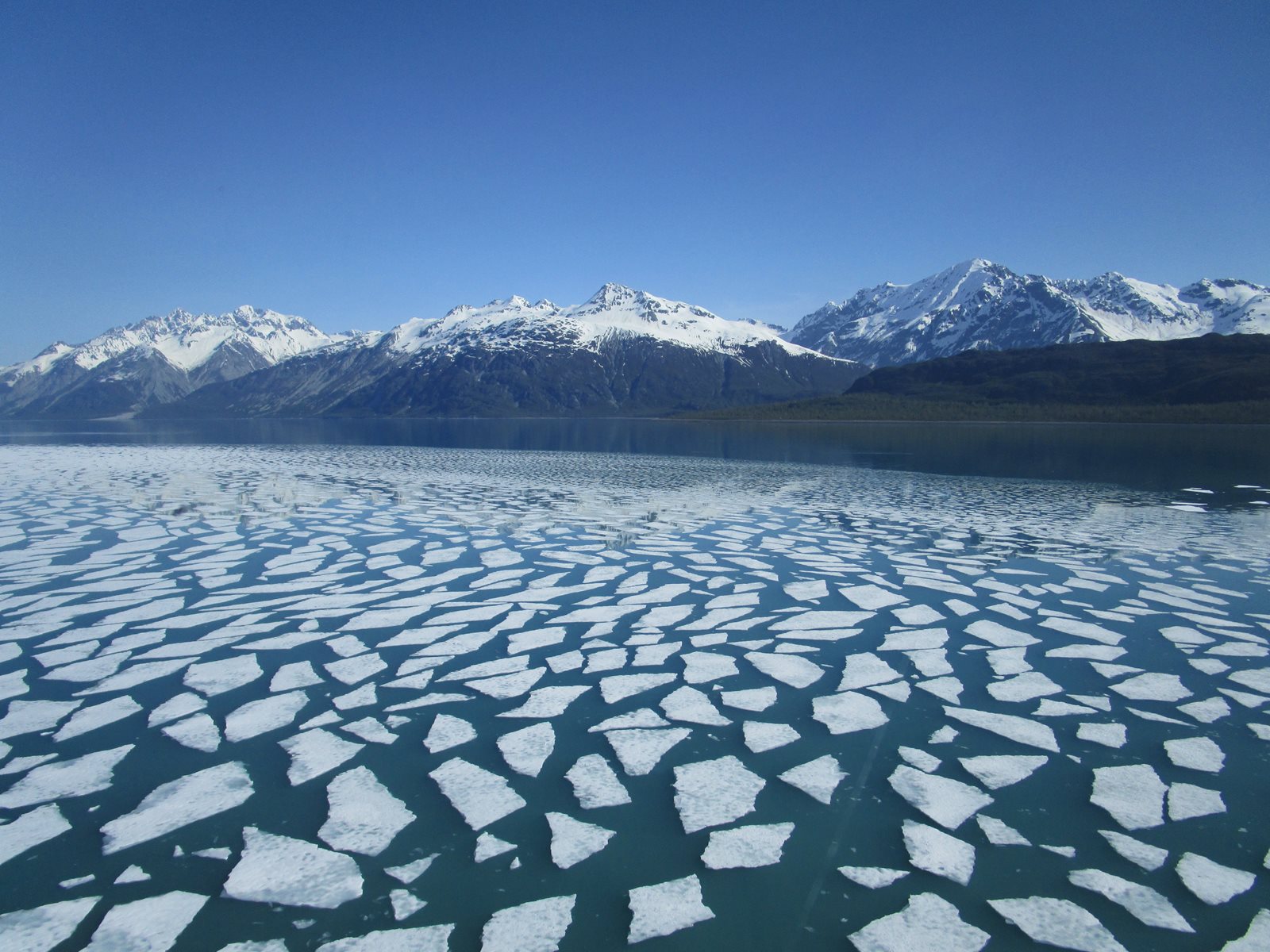 Pan ice floating in Tarr Inlet below glacier-carved mountains