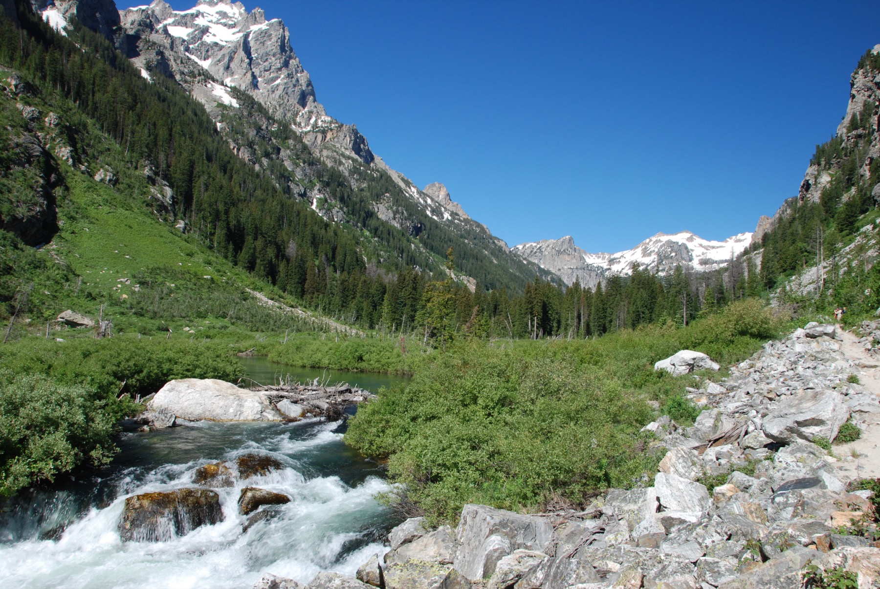 Cascade Canyon above Jenny Lake