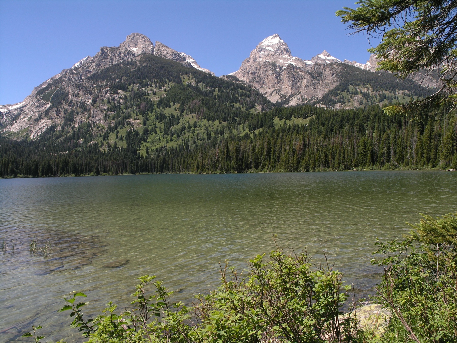 Taggart Lake with the Teton Range behind it