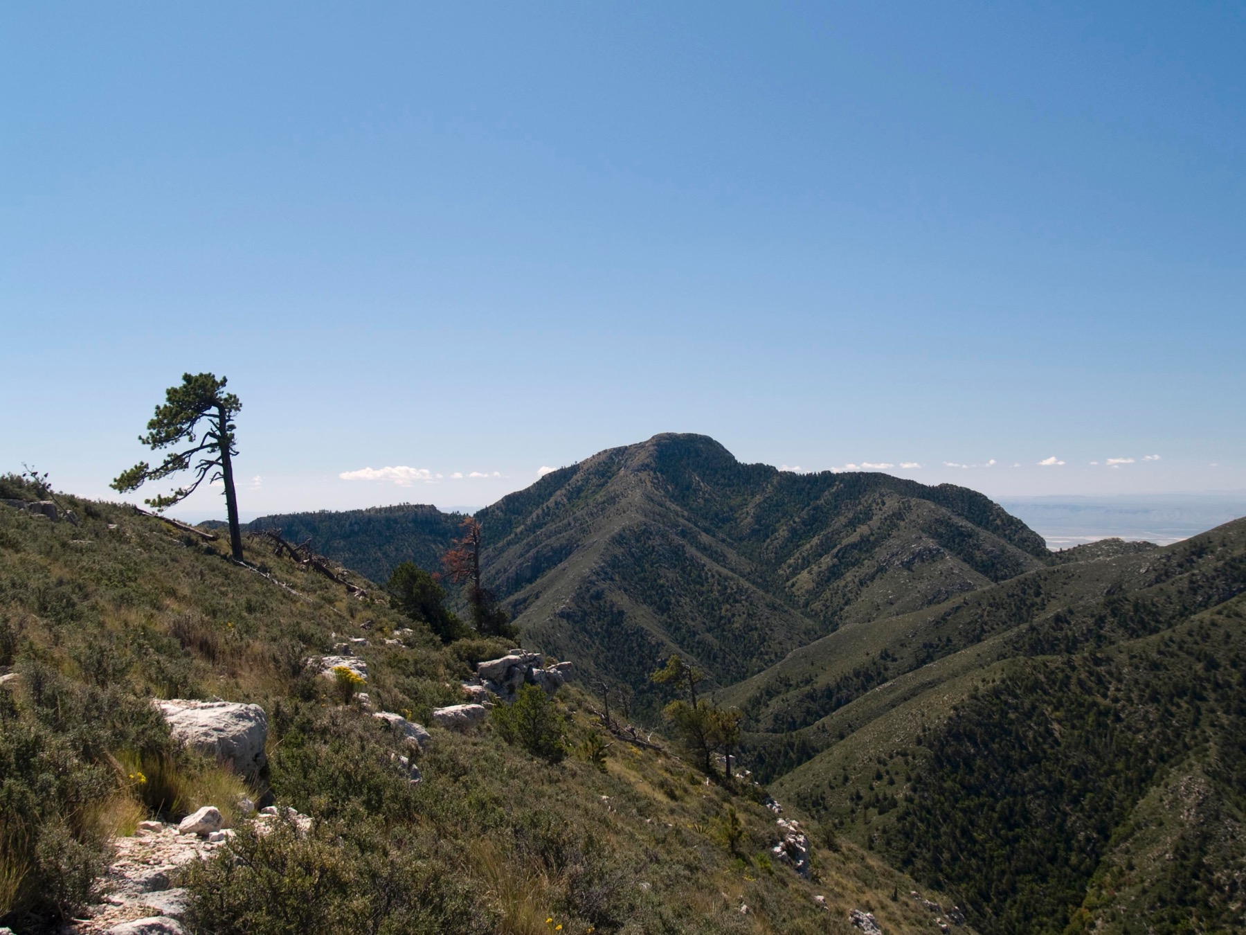 Guadalupe Peak above Pine Spring Canyon