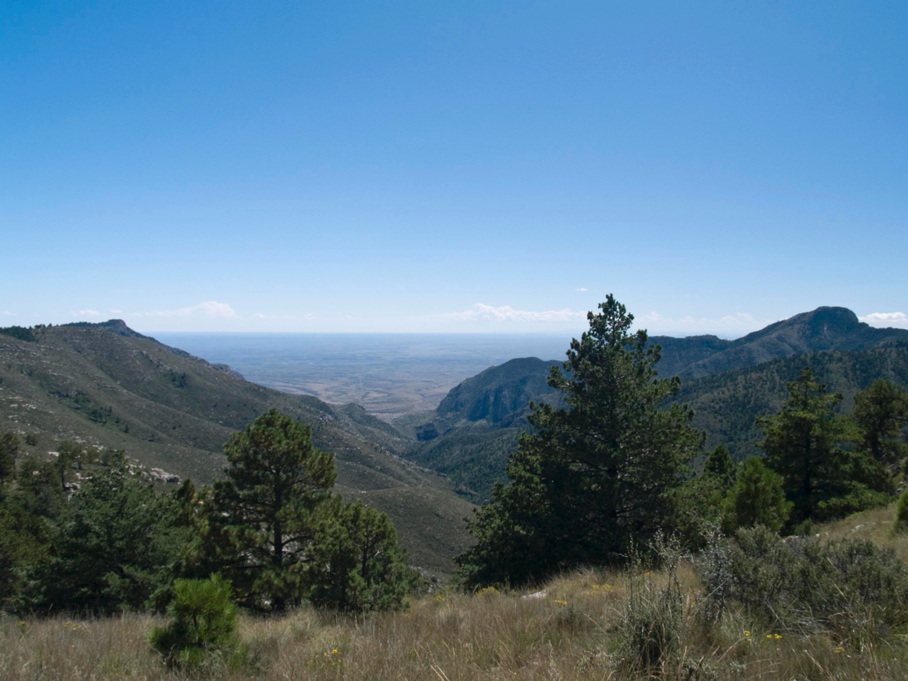 Pine Spring Canyon below Guadalupe Peak and Hunter Peak