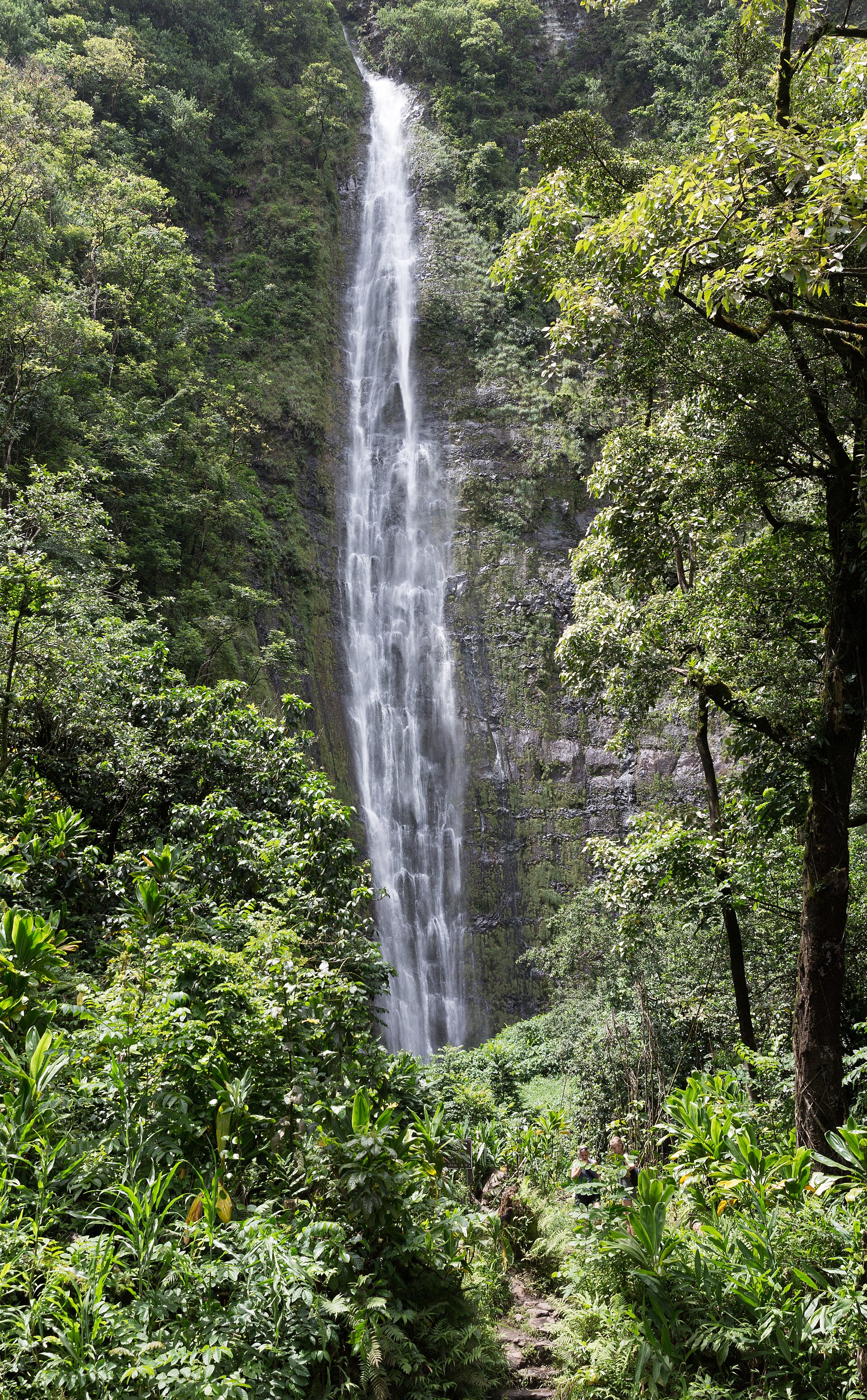 Waimoku Falls dropping down the lush Kipahulu cliff wall