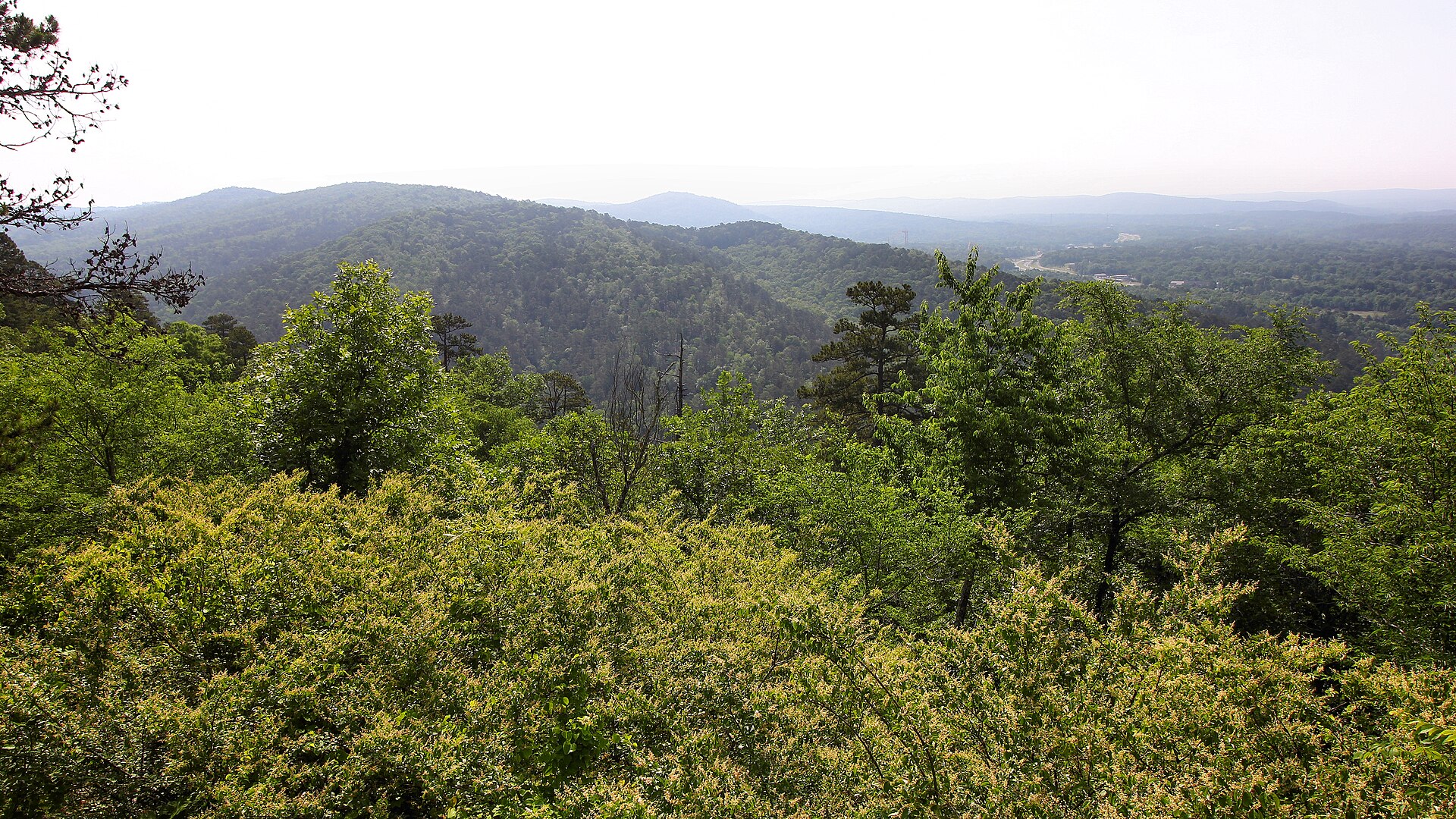 View from Goat Rock Trail over forested ridges in Hot Springs National Park