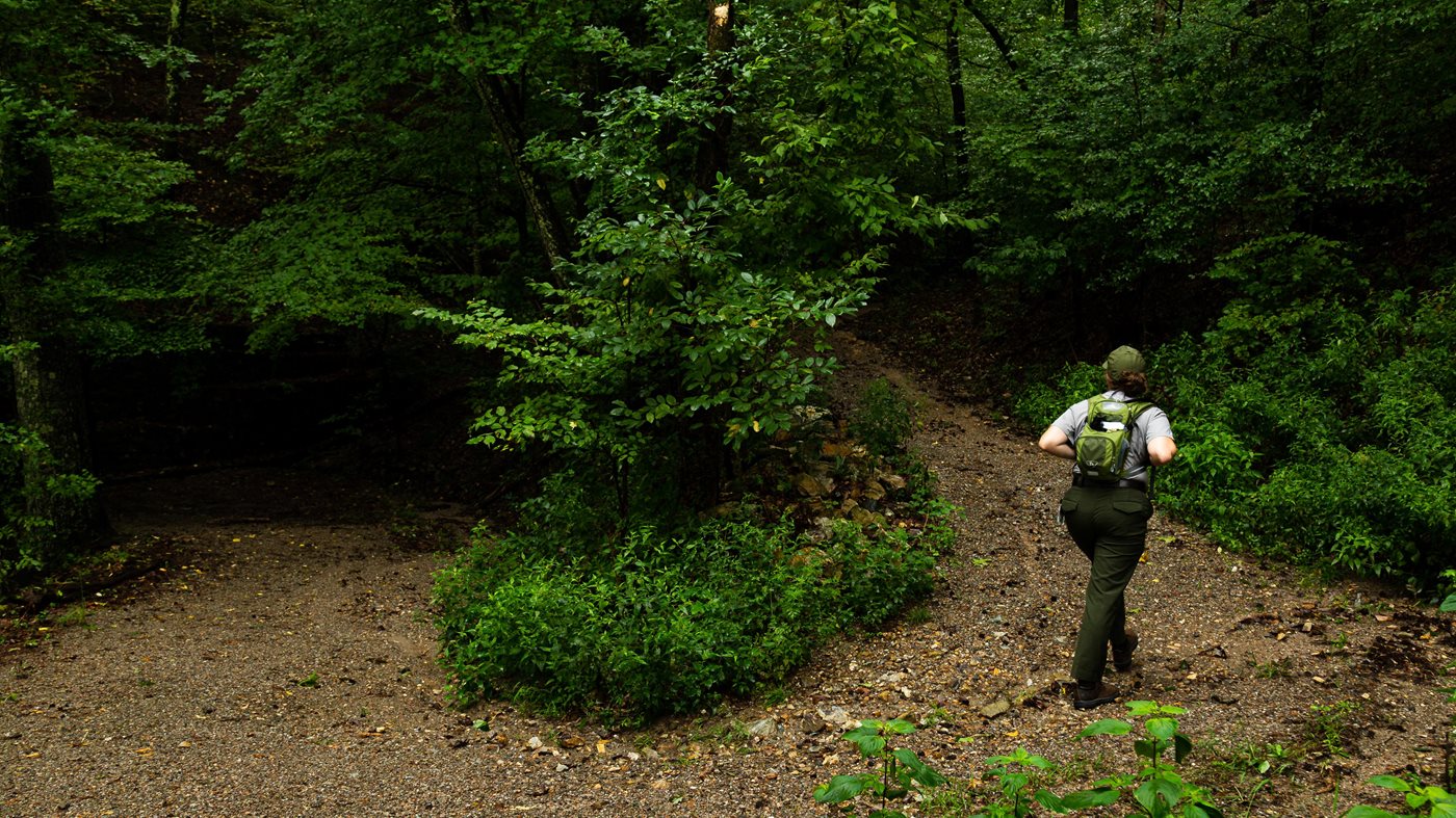 A ranger walking a curved forest trail in Hot Springs National Park
