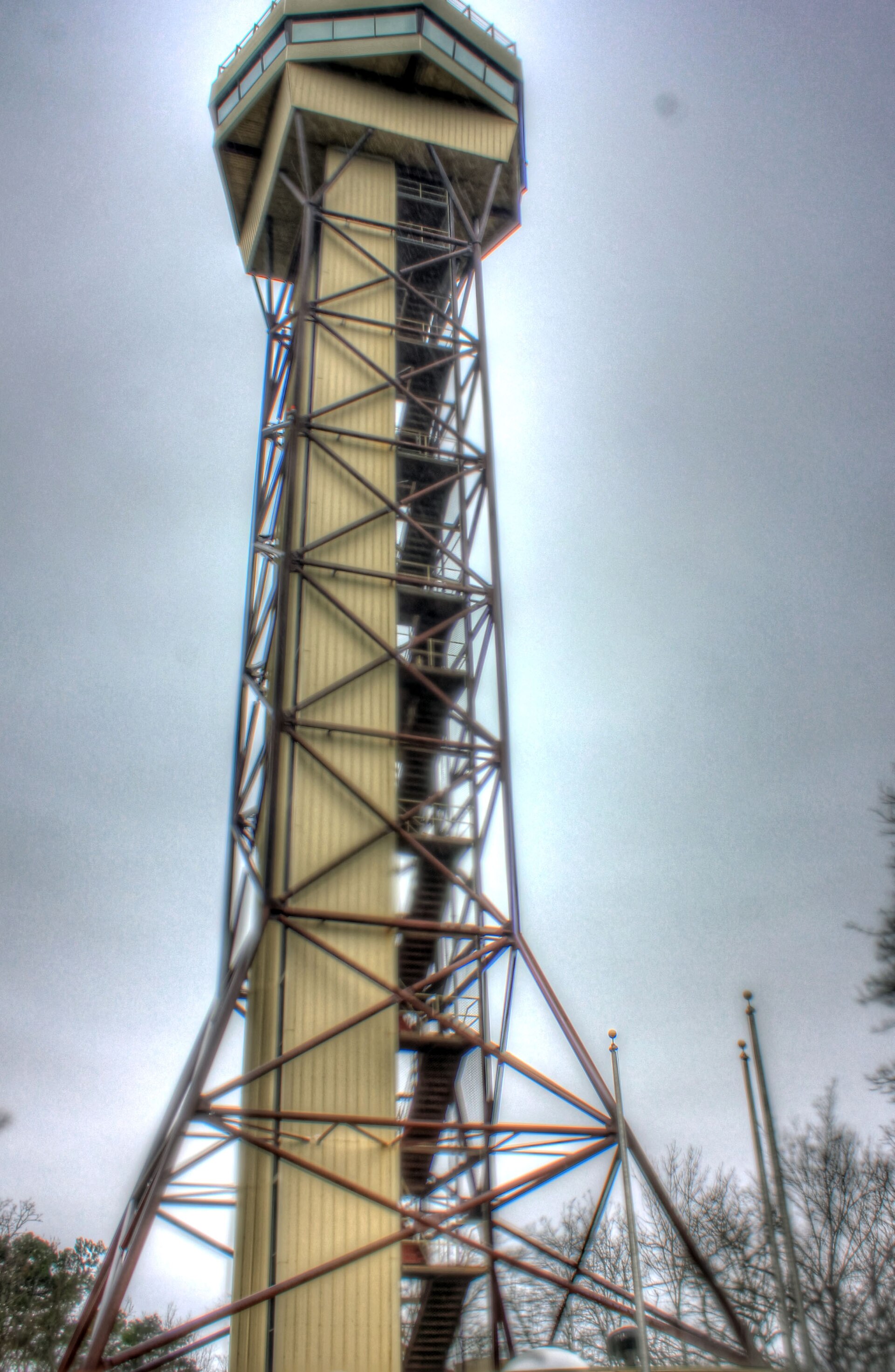 Hot Springs Mountain Tower rising above forested slopes