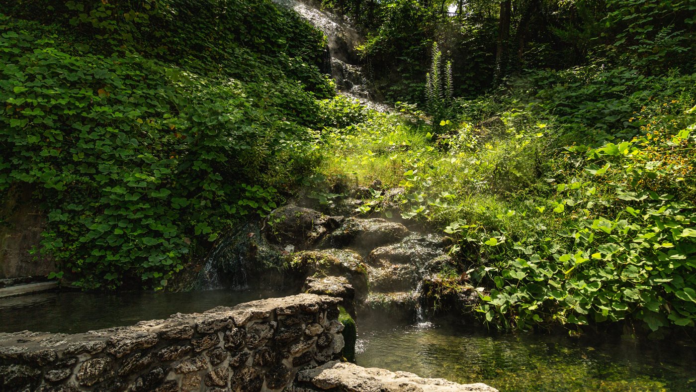 A steaming thermal pool with green algae at Hot Springs National Park