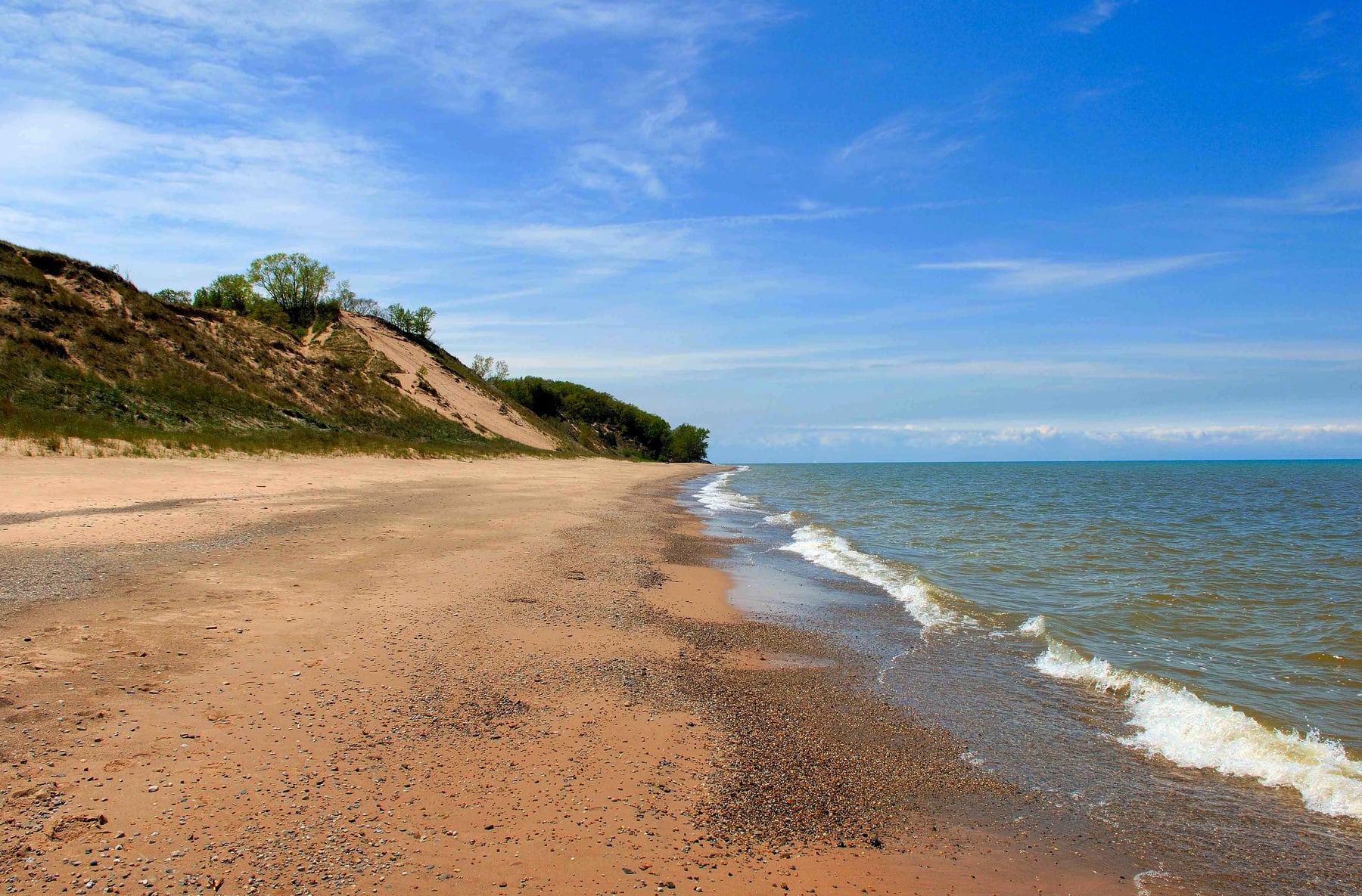 Lake Michigan beach with green dunes behind it at Indiana Dunes