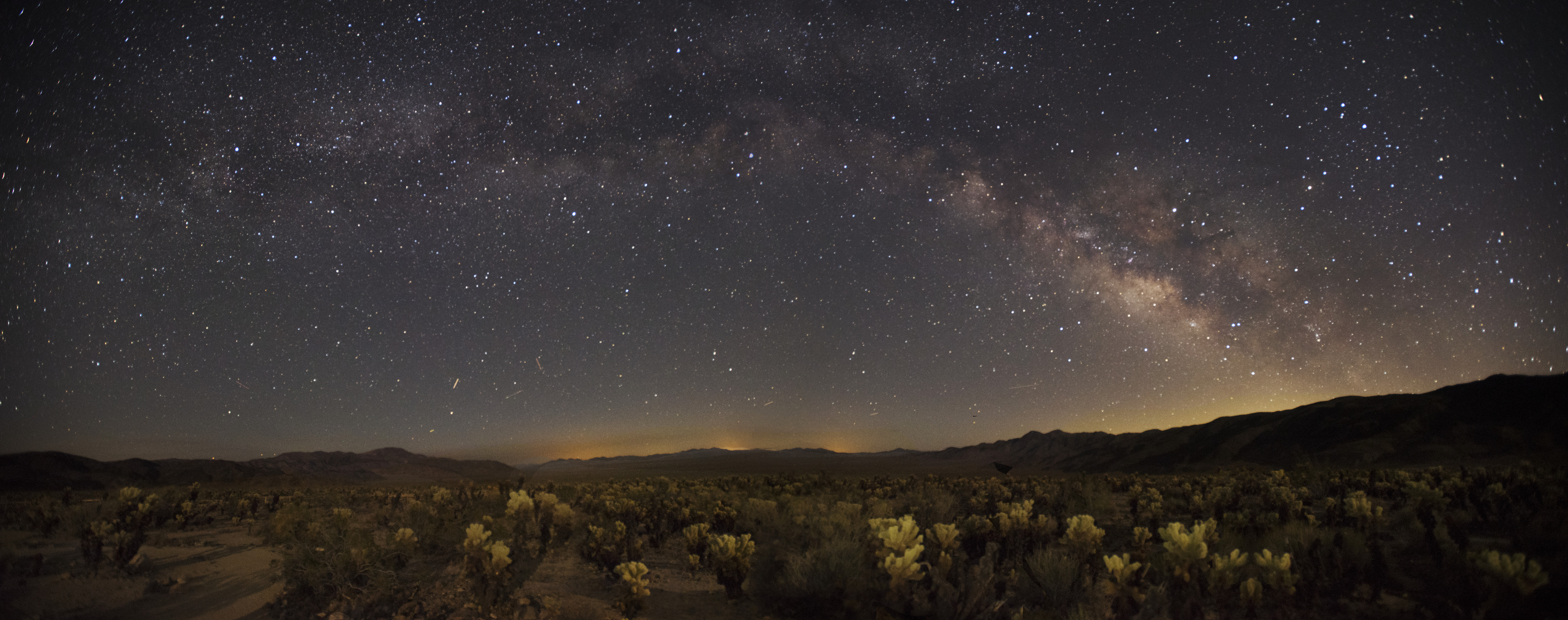 The Milky Way arcing over the Cholla Cactus Garden