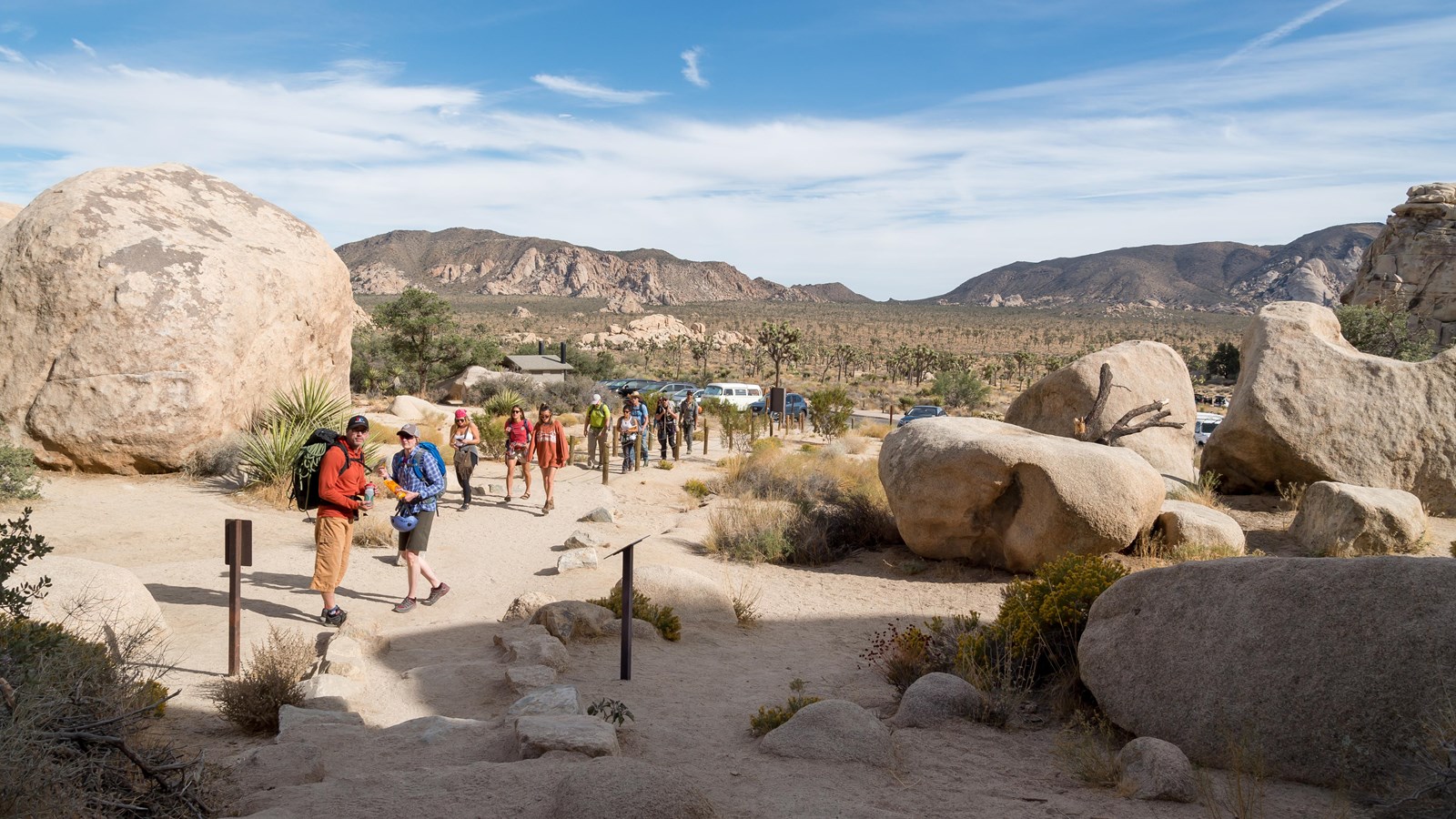 Rock formations and Joshua trees near Hidden Valley